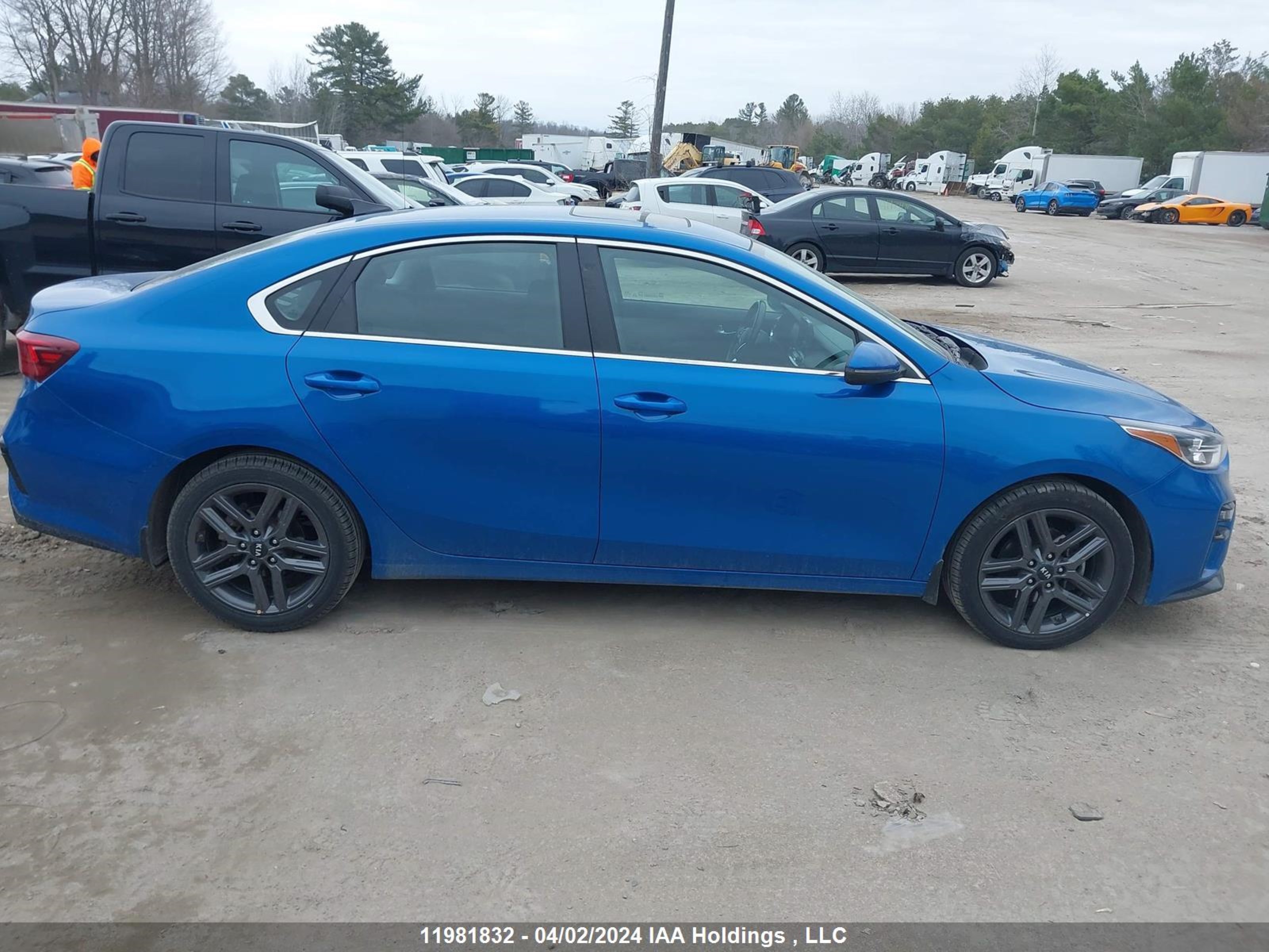 Photo 12 VIN: 3KPF54AD4ME318317 - KIA FORTE 