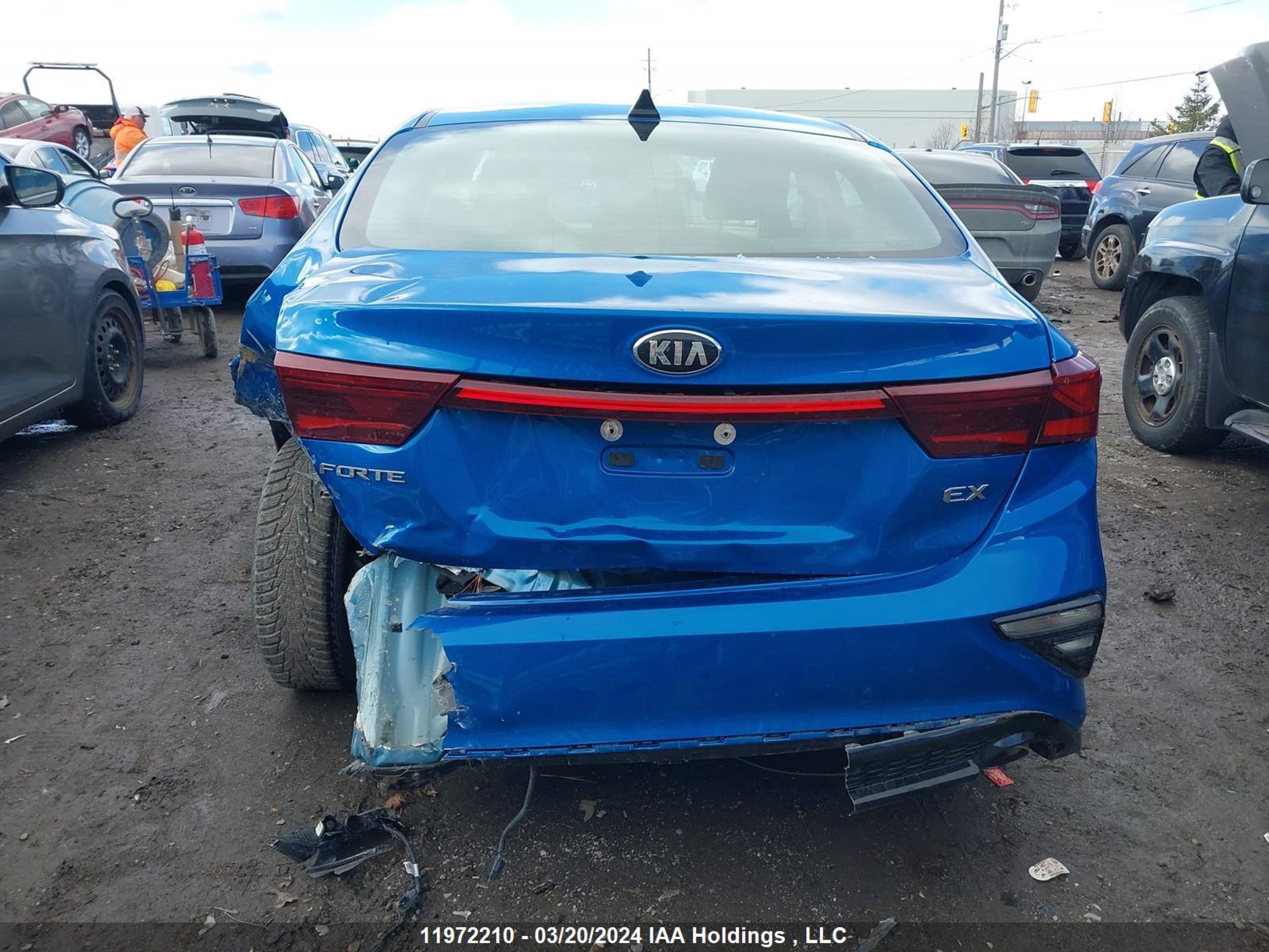 Photo 16 VIN: 3KPF54AD4ME322030 - KIA FORTE 