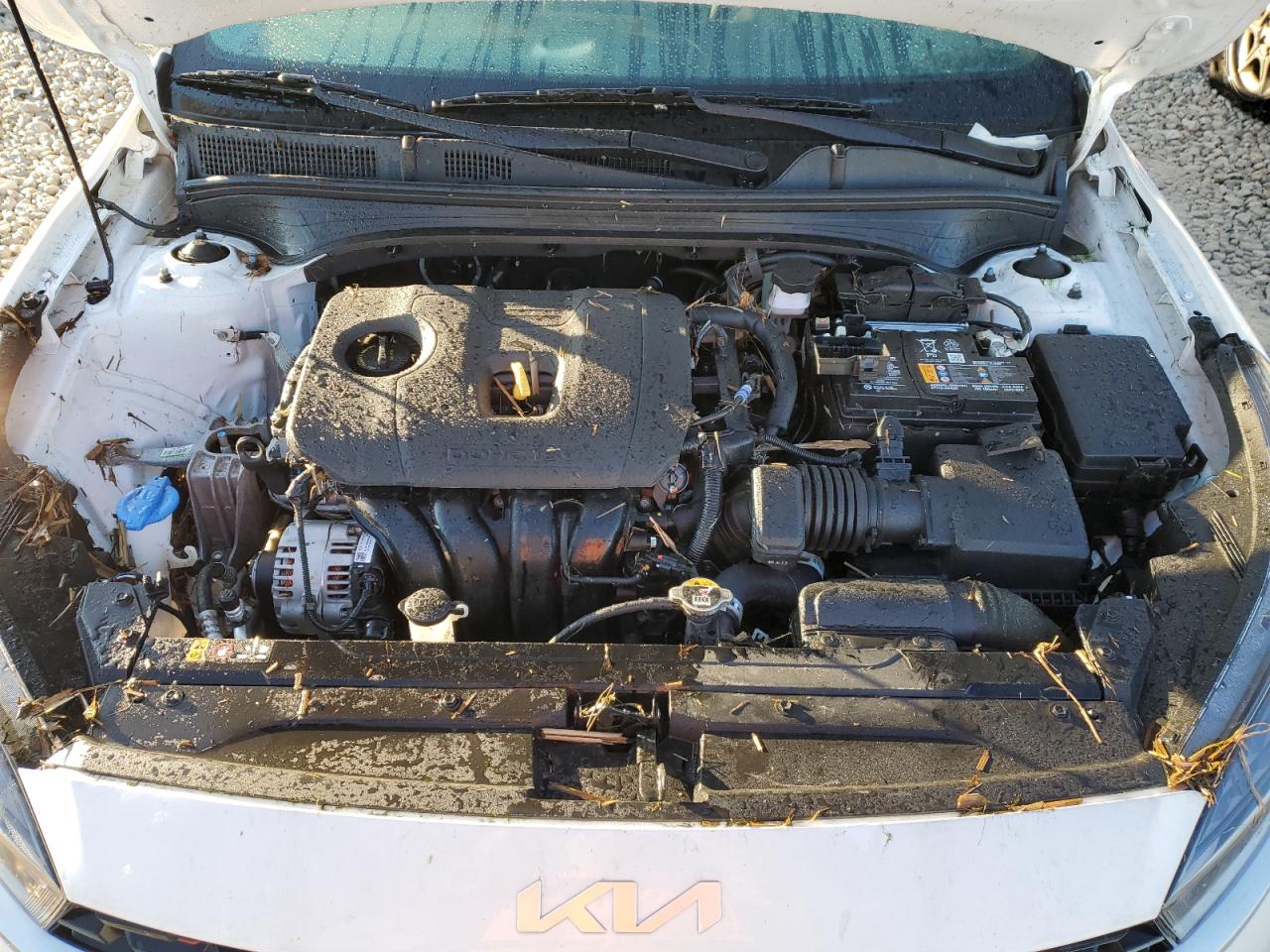 Photo 10 VIN: 3KPF54AD5RE716157 - KIA FORTE 