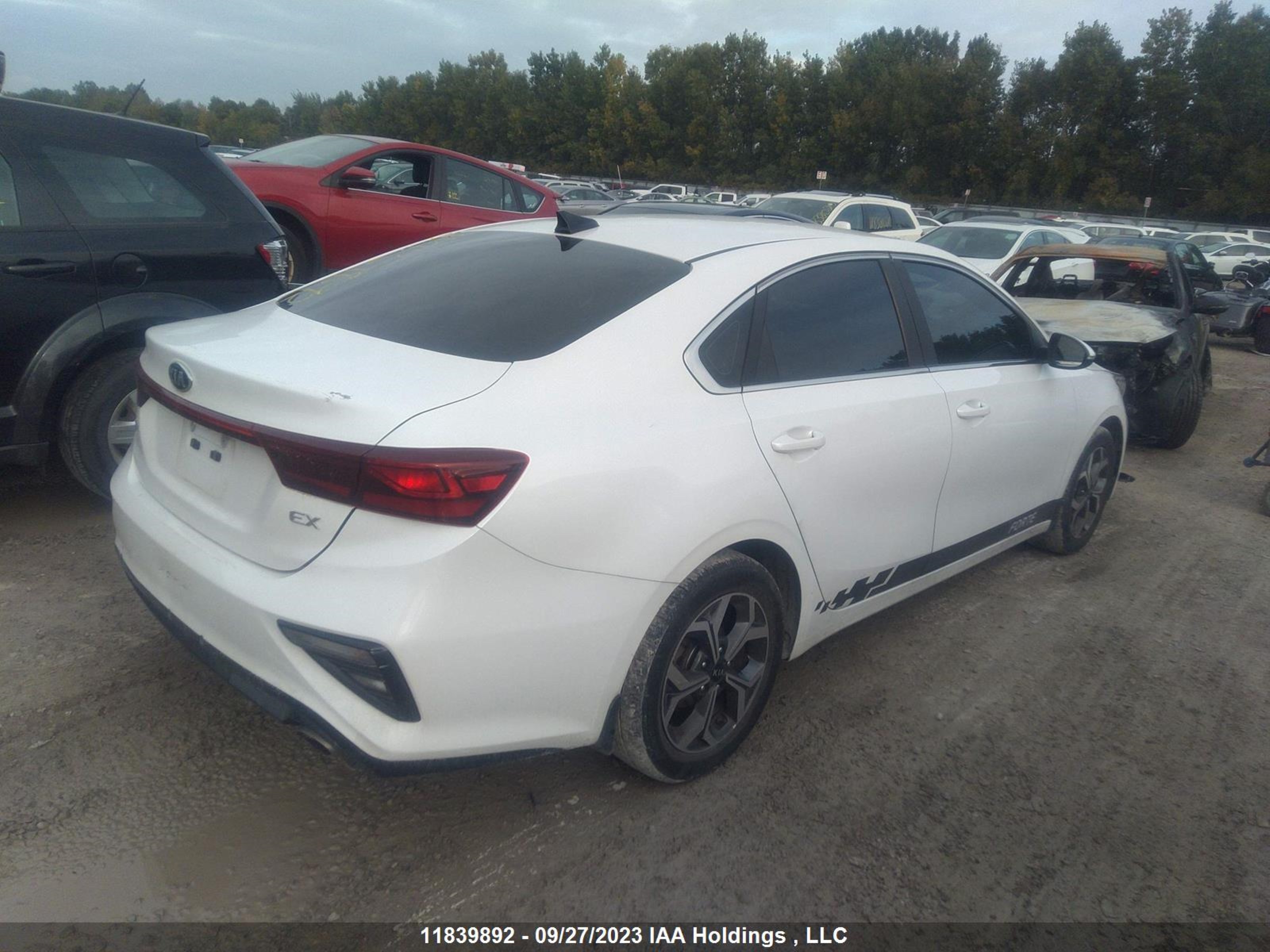 Photo 3 VIN: 3KPF54AD6LE229363 - KIA FORTE 