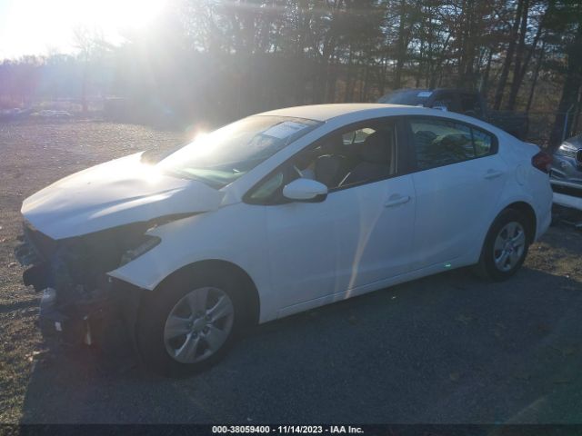 Photo 1 VIN: 3KPFK4A74HE038535 - KIA FORTE 