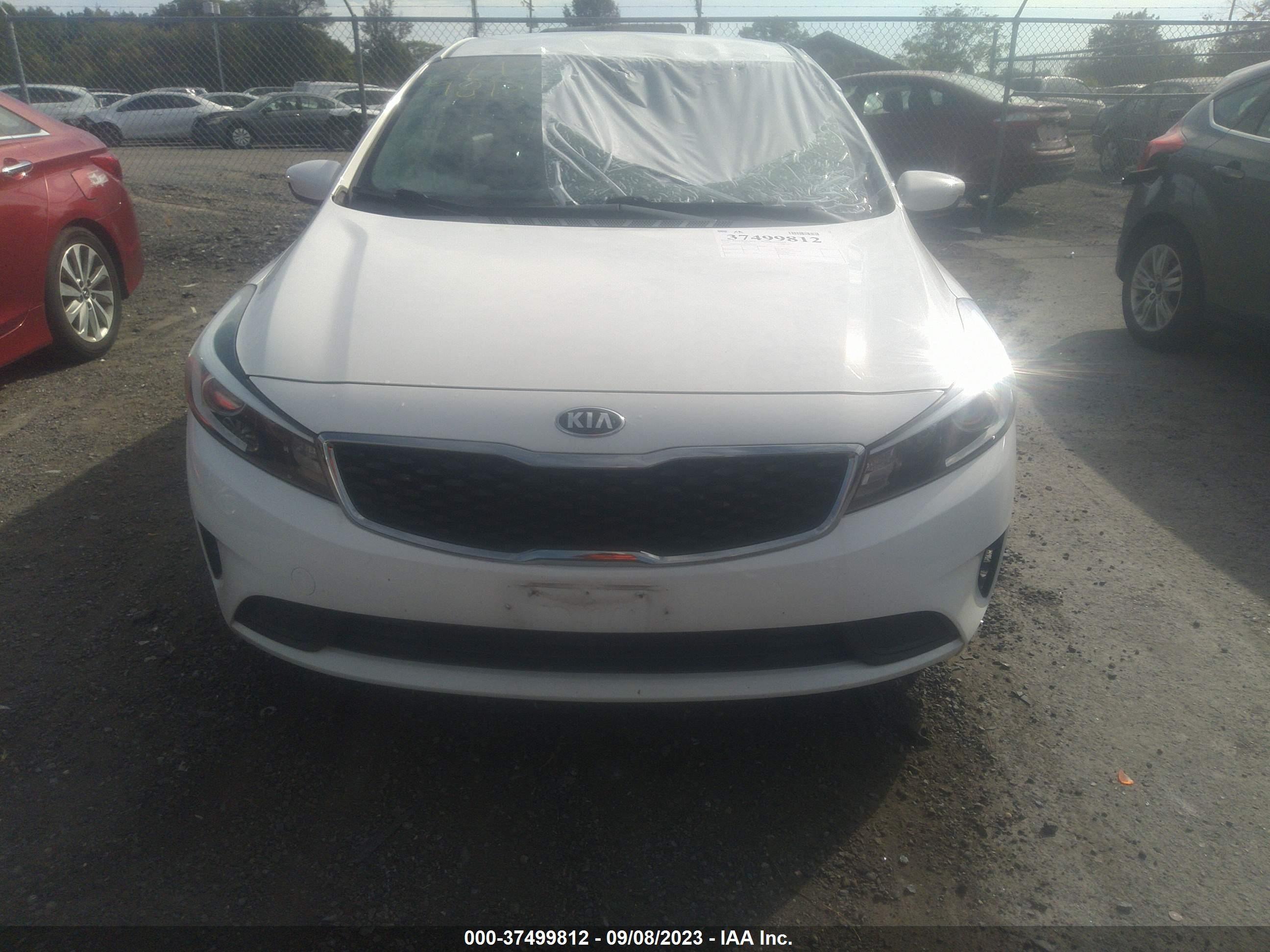 Photo 12 VIN: 3KPFK4A75HE105109 - KIA FORTE 