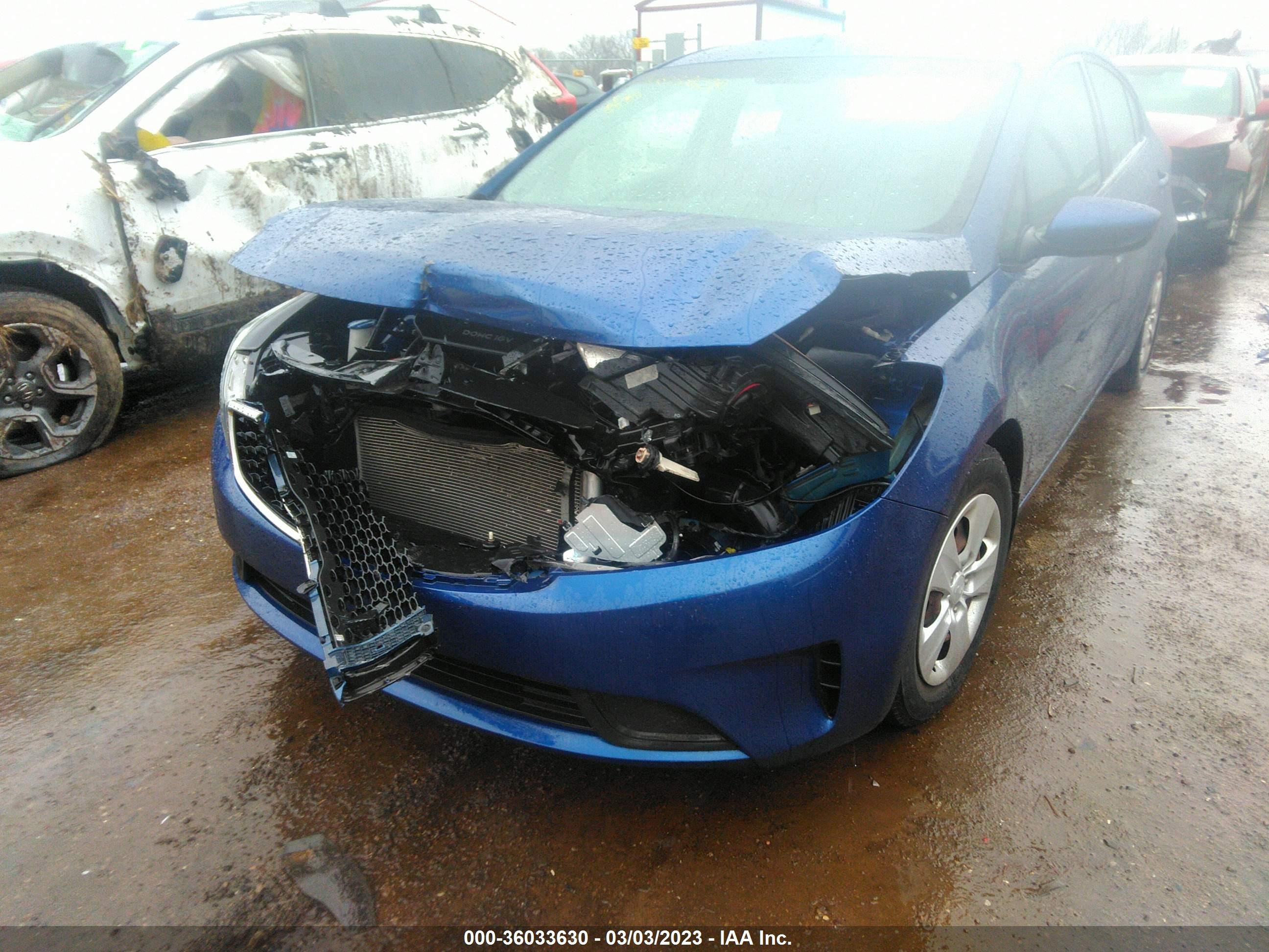 Photo 5 VIN: 3KPFK4A75HE156934 - KIA FORTE 