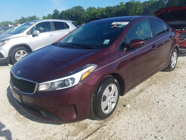 Photo 1 VIN: 3KPFK4A79HE096415 - KIA FORTE LX 