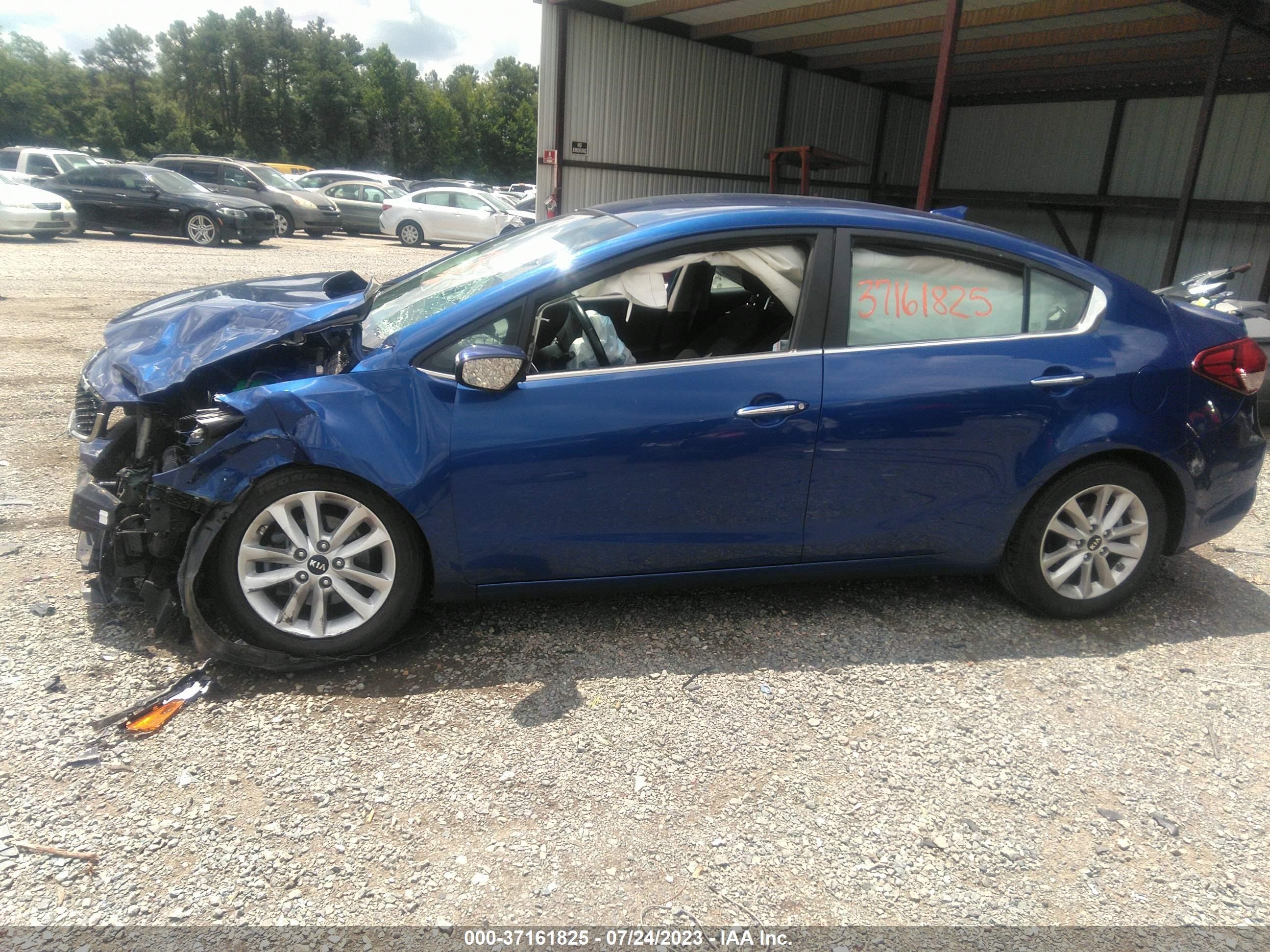 Photo 13 VIN: 3KPFL4A70HE024807 - KIA FORTE 