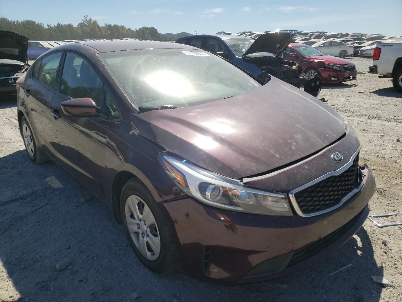 Photo 0 VIN: 3KPFL4A70JE196695 - KIA FORTE 