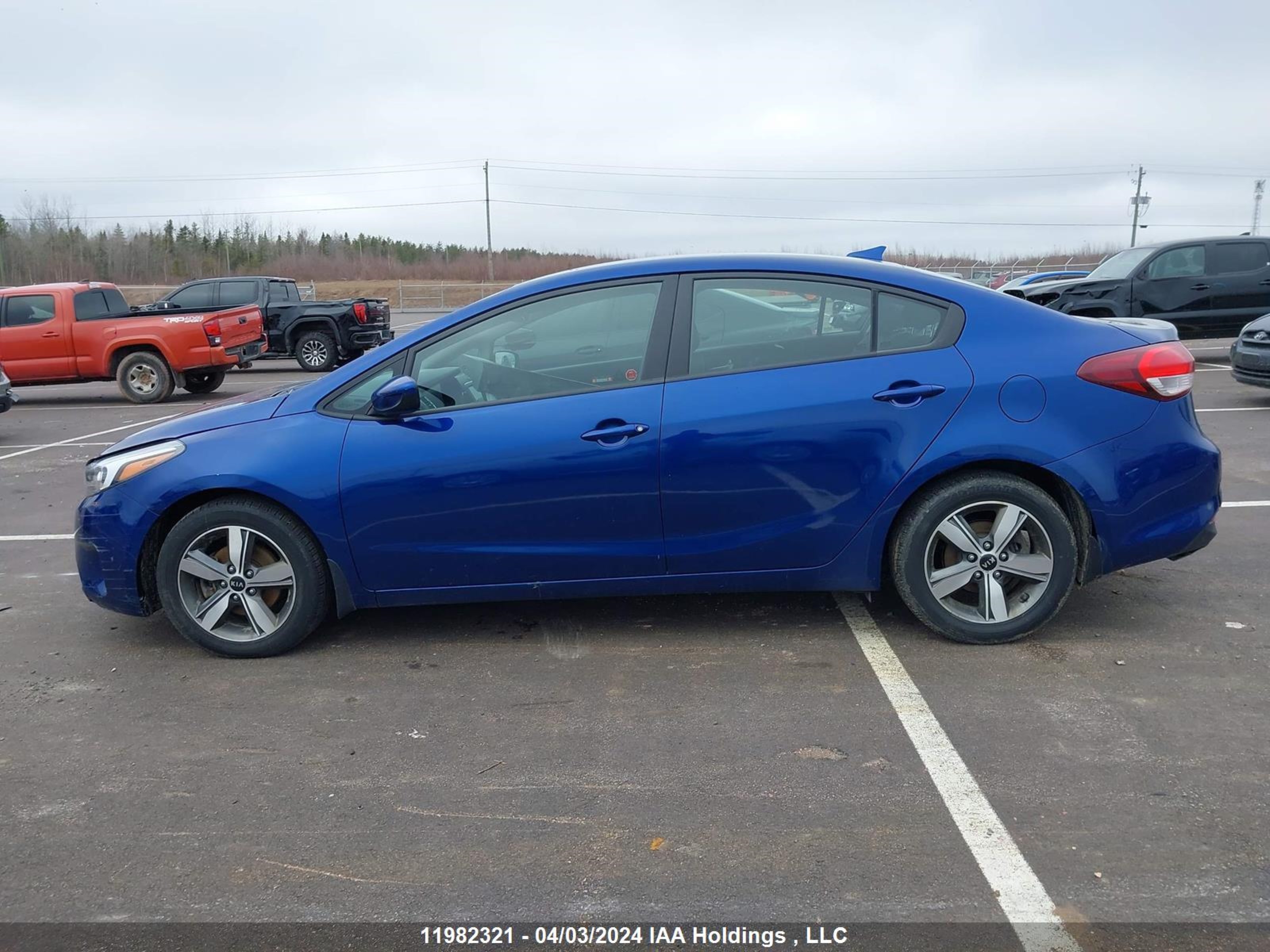 Photo 13 VIN: 3KPFL4A73JE261541 - KIA FORTE 