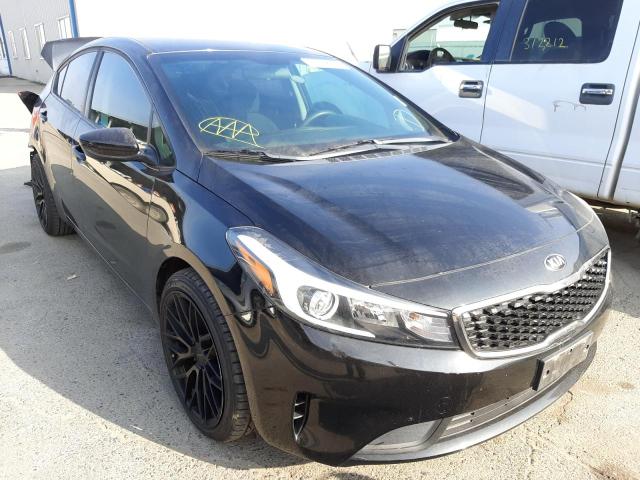 Photo 0 VIN: 3KPFL4A74HE007198 - KIA FORTE LX 