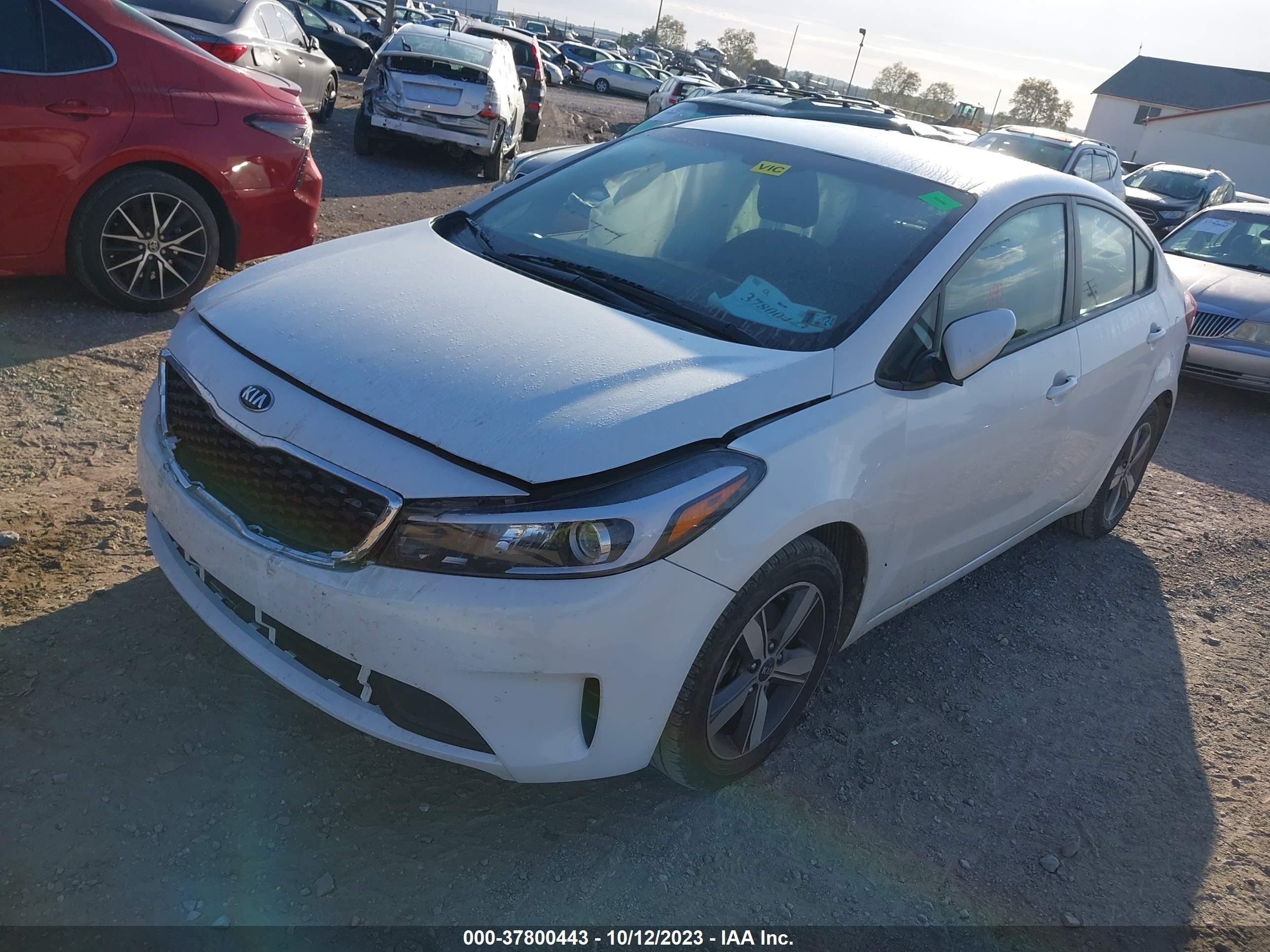 Photo 1 VIN: 3KPFL4A74JE274511 - KIA FORTE 