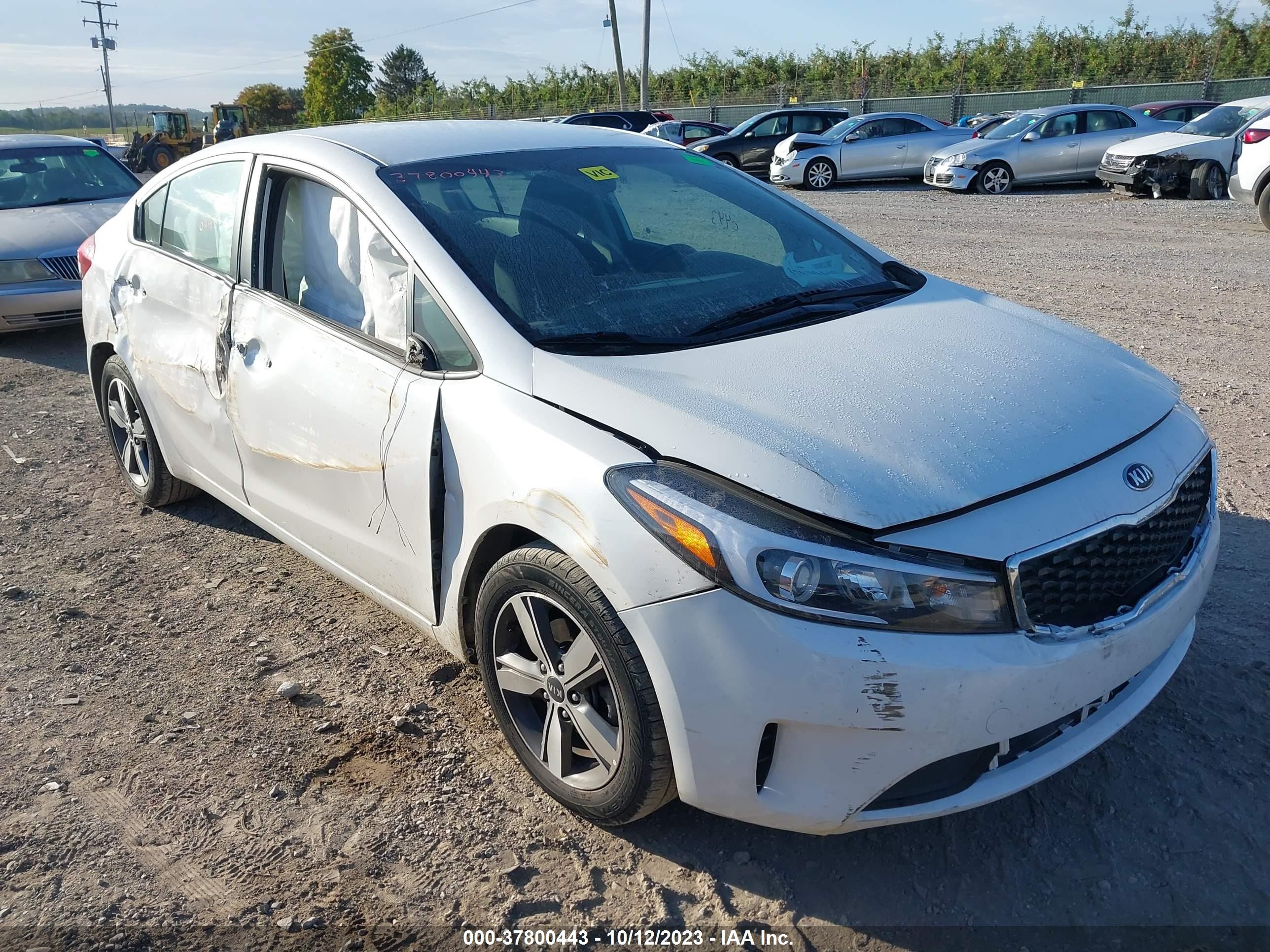 Photo 5 VIN: 3KPFL4A74JE274511 - KIA FORTE 