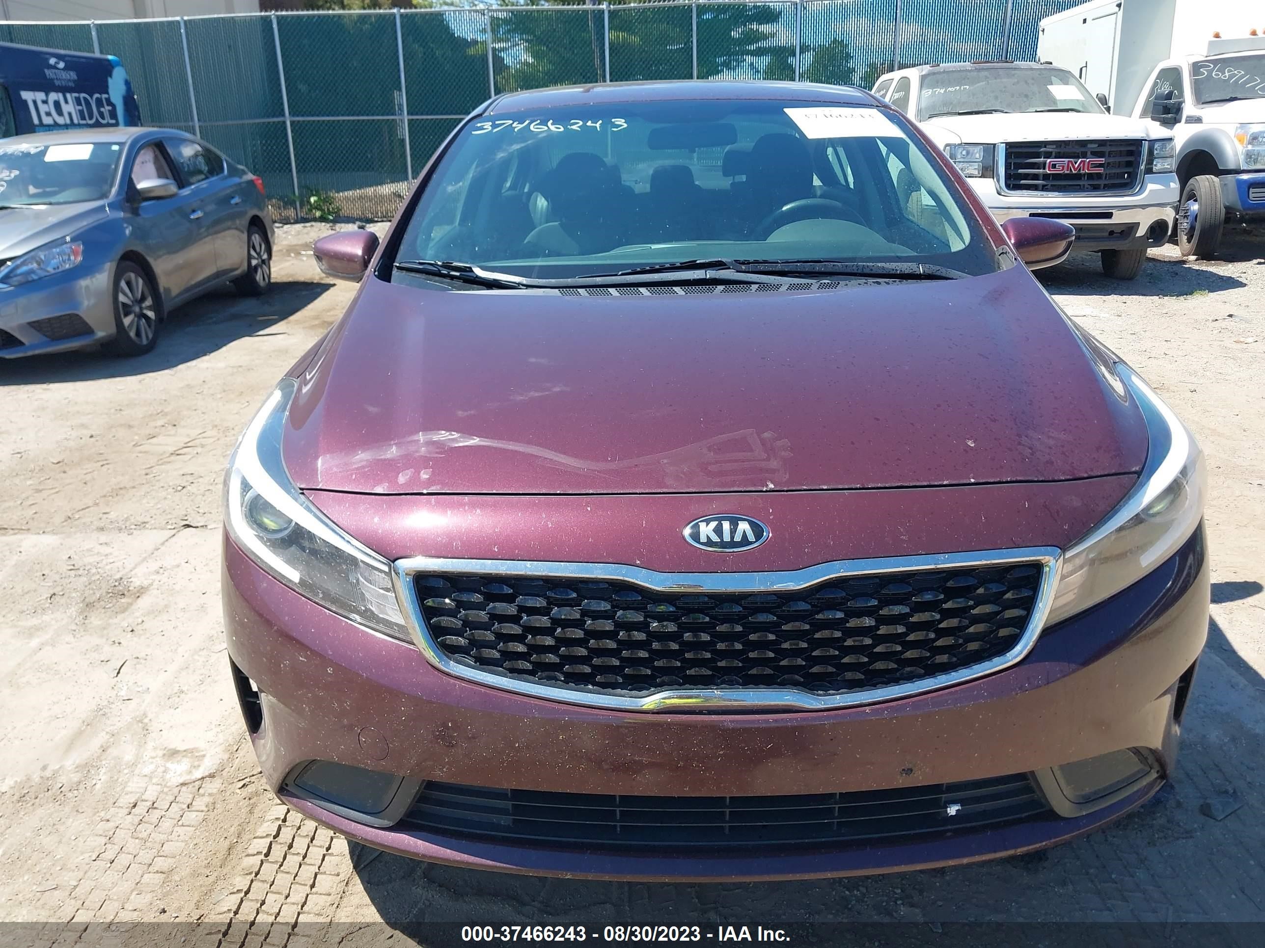 Photo 11 VIN: 3KPFL4A78HE147710 - KIA FORTE 