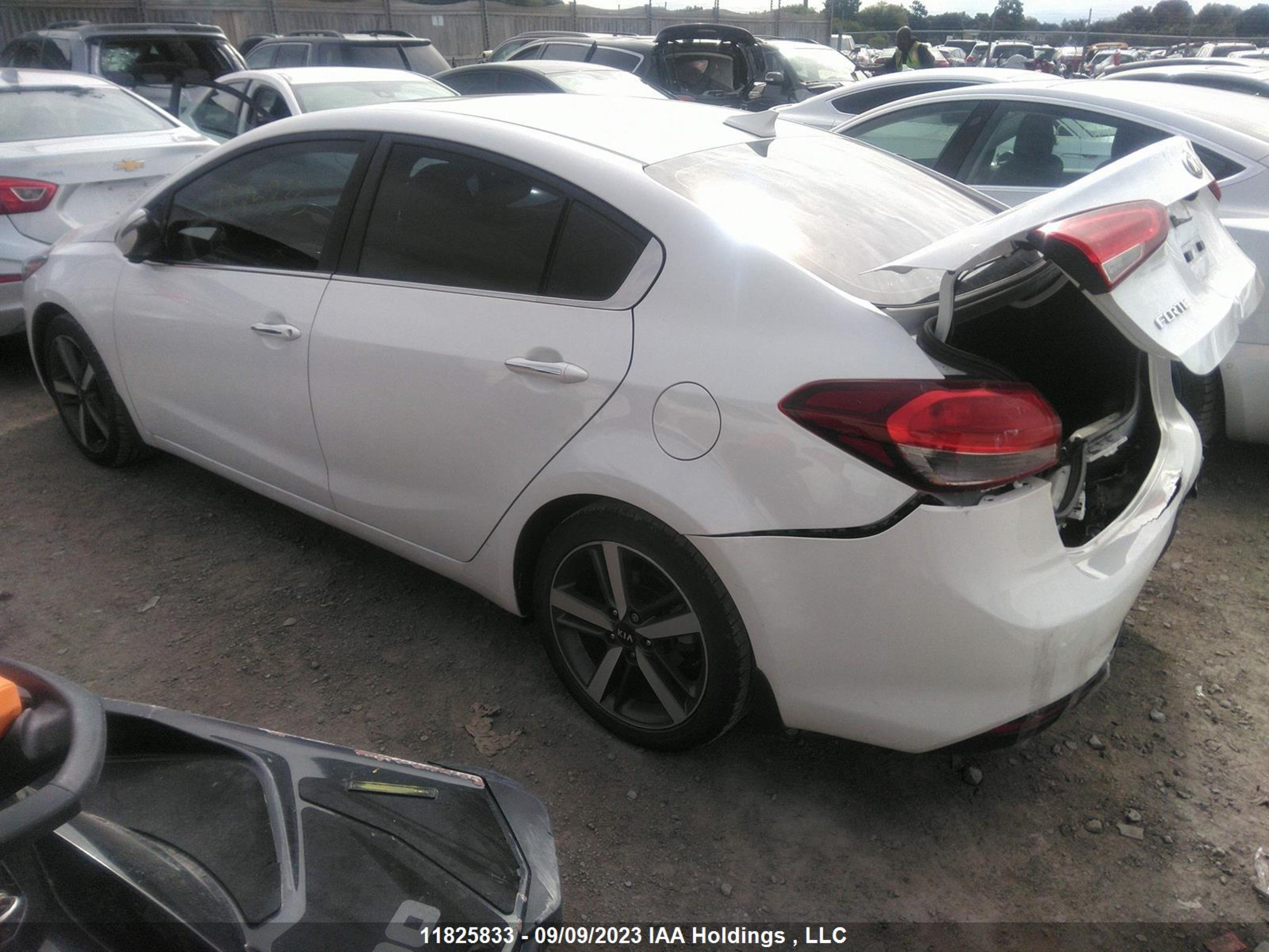 Photo 2 VIN: 3KPFL4A80HE092792 - KIA FORTE 