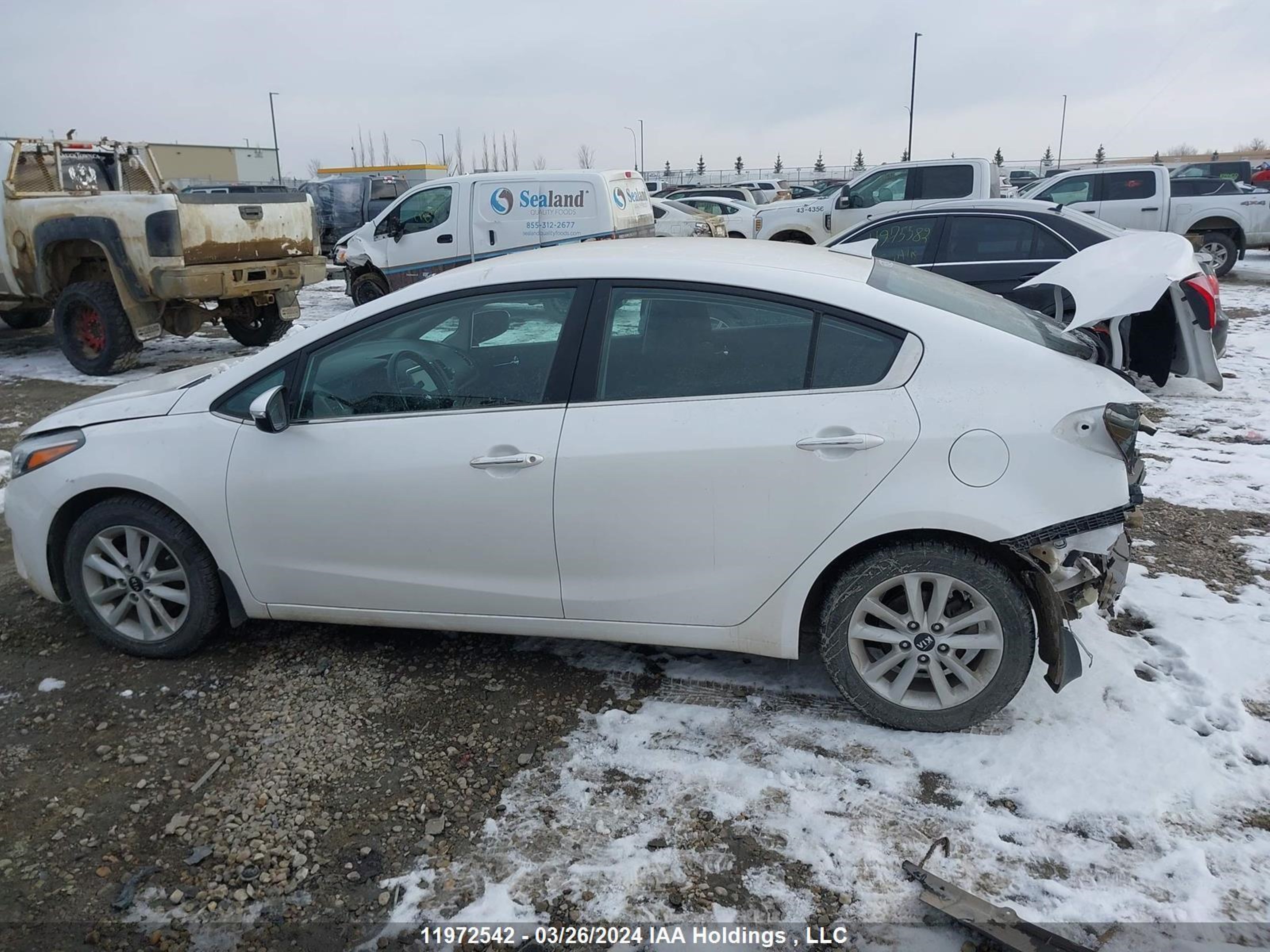 Photo 13 VIN: 3KPFL4A81HE116453 - KIA FORTE 