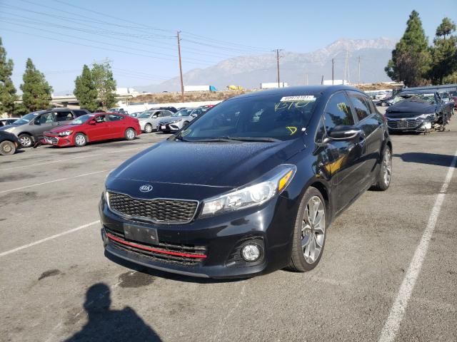 Photo 1 VIN: 3KPFN5A31HE113881 - KIA FORTE EX 