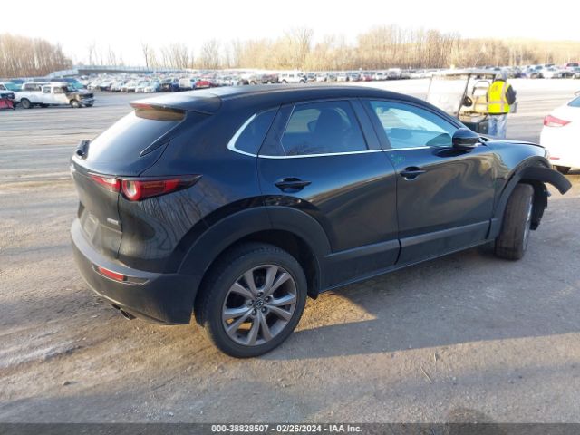 Photo 3 VIN: 3MVDMABL9MM231077 - MAZDA CX-30 