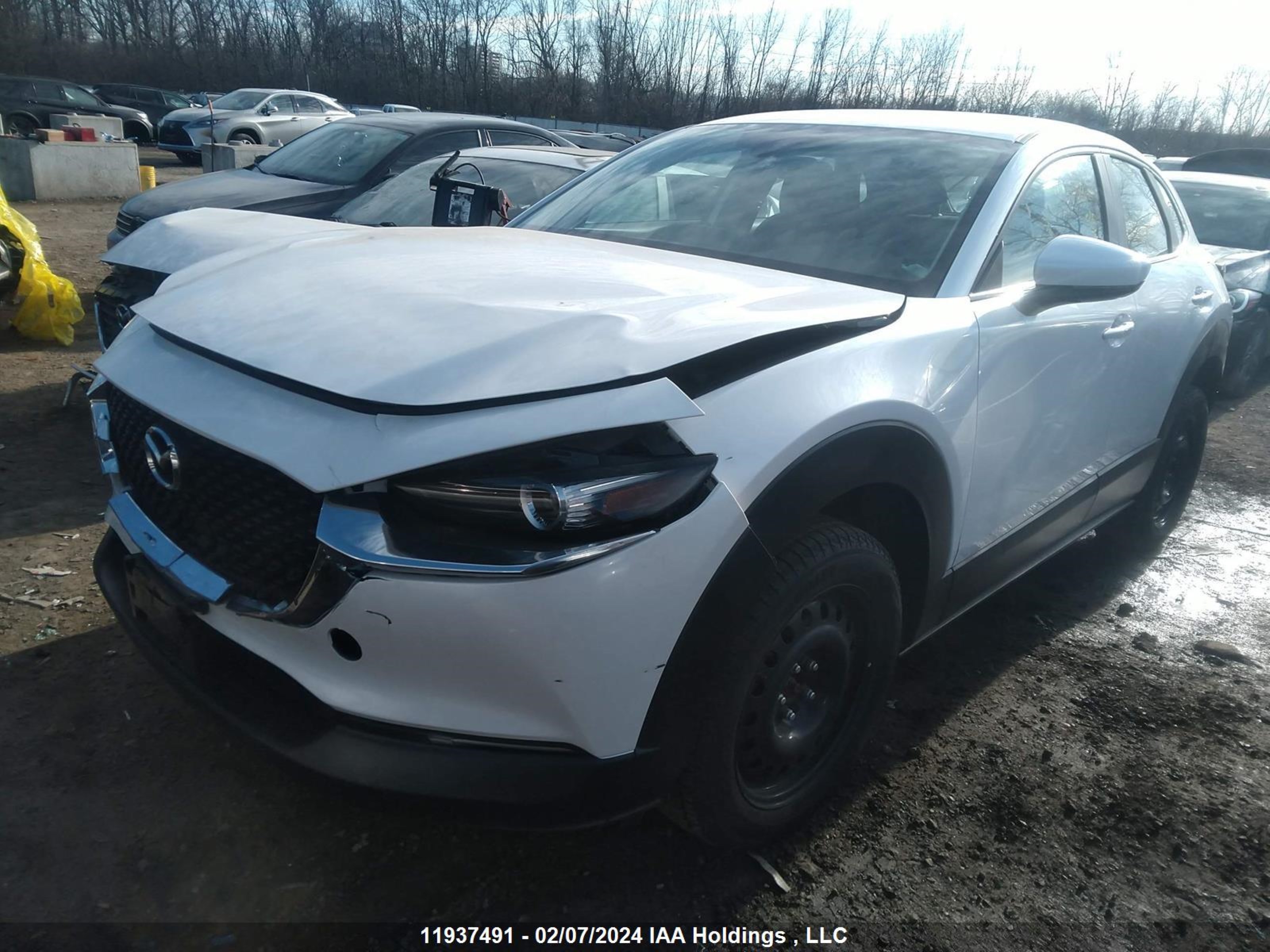 Photo 1 VIN: 3MVDMBB73PM505497 - MAZDA CX-30 