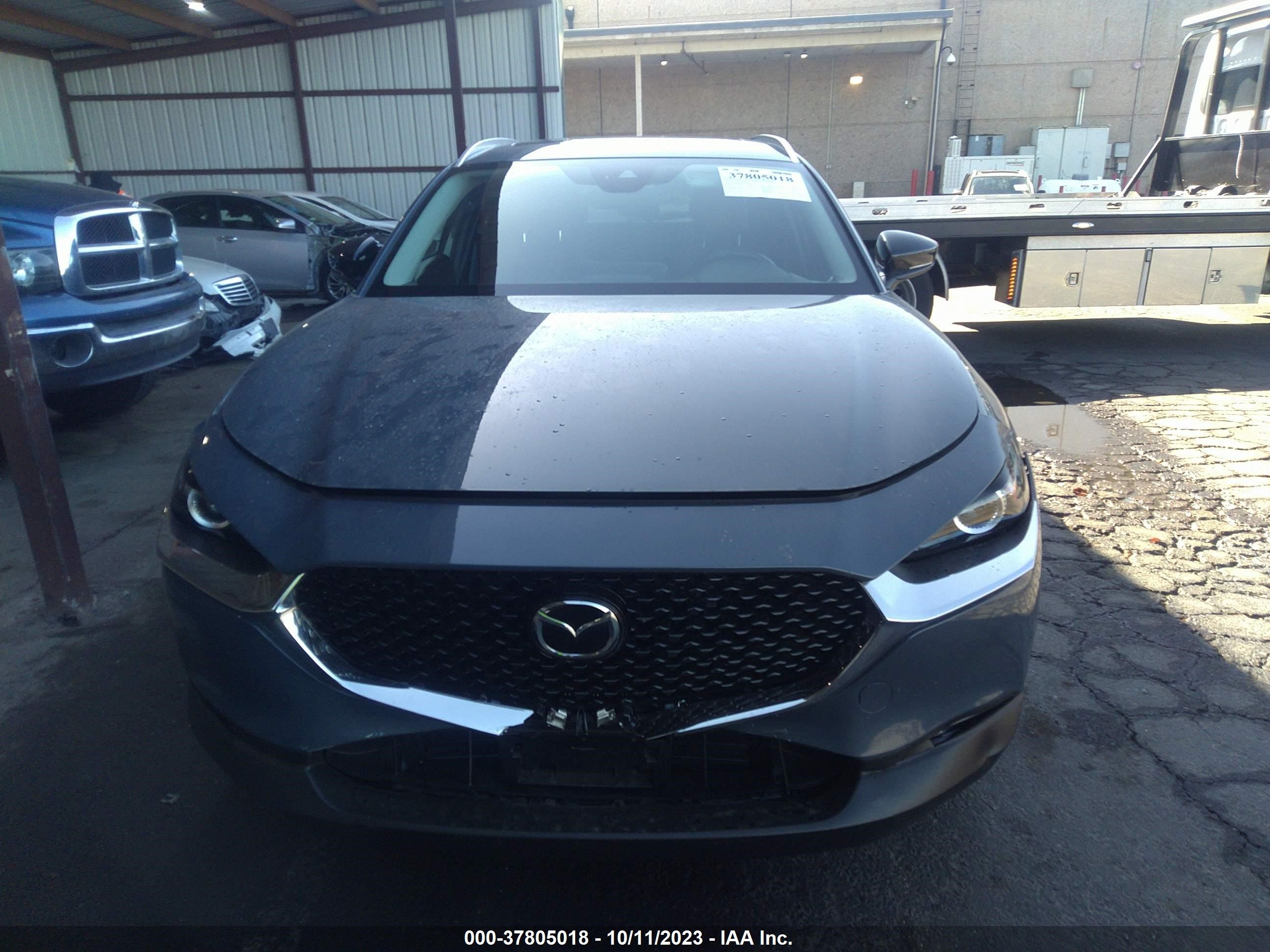 Photo 11 VIN: 3MVDMBCM5PM520913 - MAZDA CX-30 