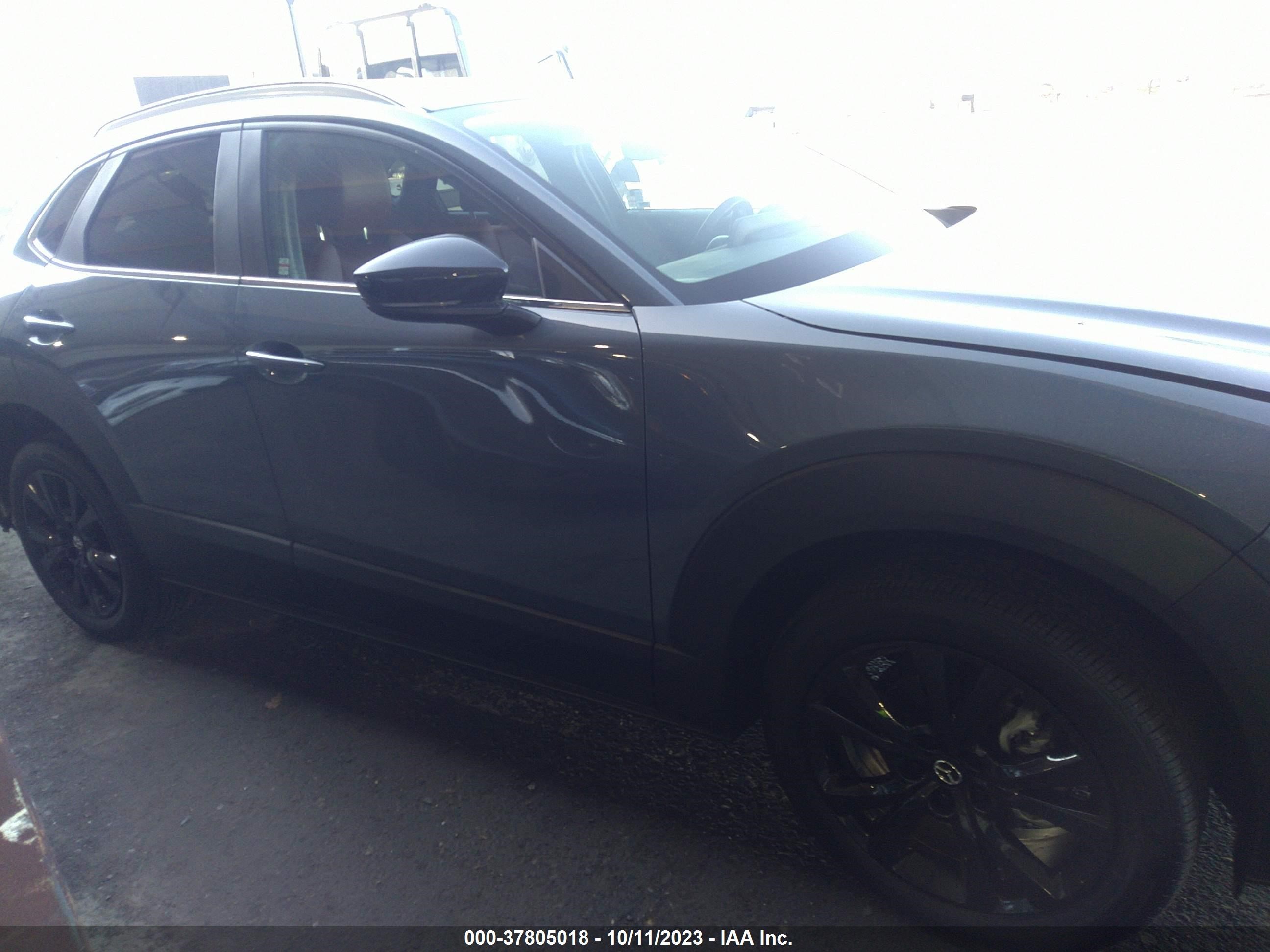 Photo 12 VIN: 3MVDMBCM5PM520913 - MAZDA CX-30 