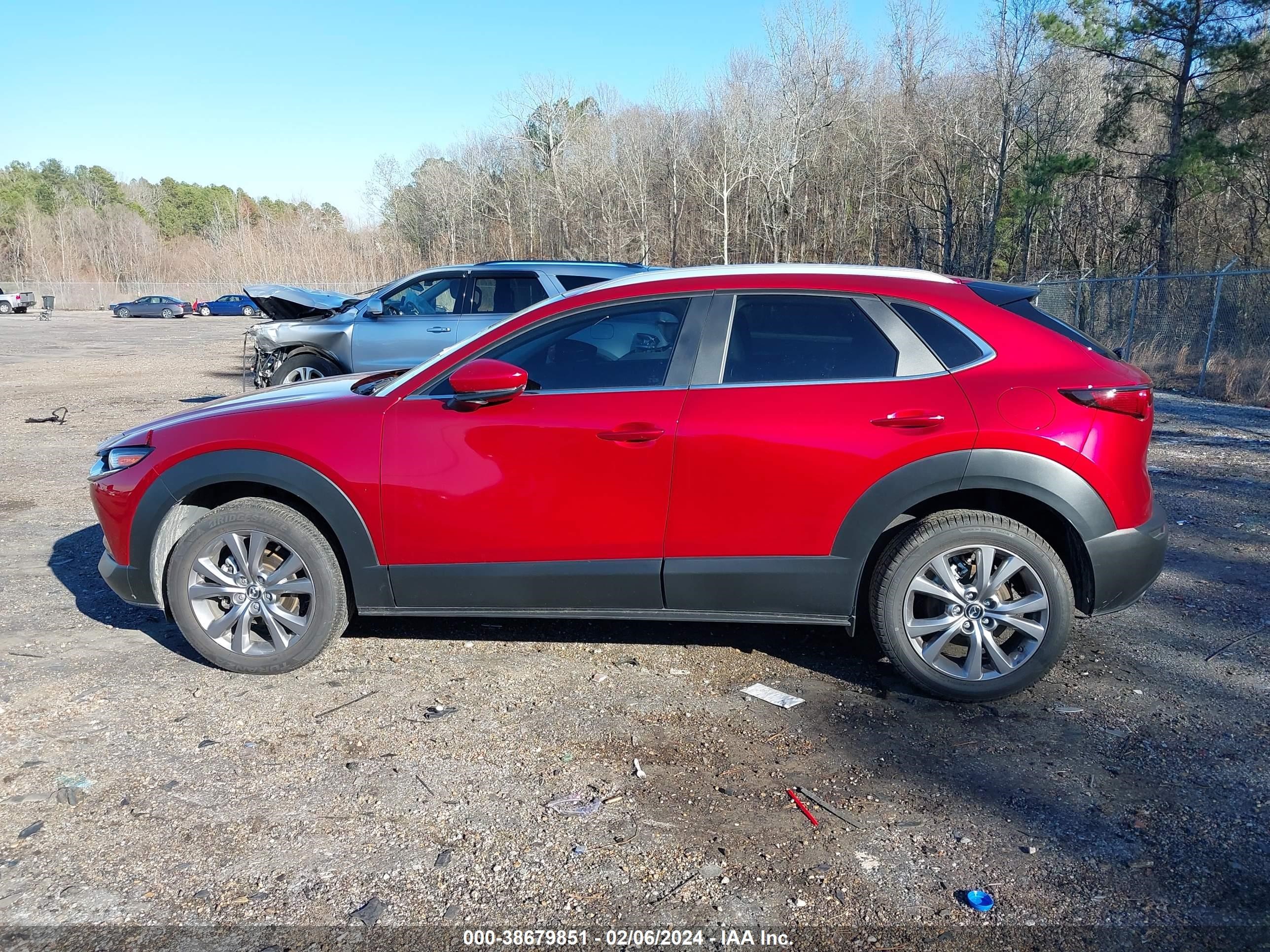 Photo 13 VIN: 3MVDMBCM5PM561039 - MAZDA CX-30 