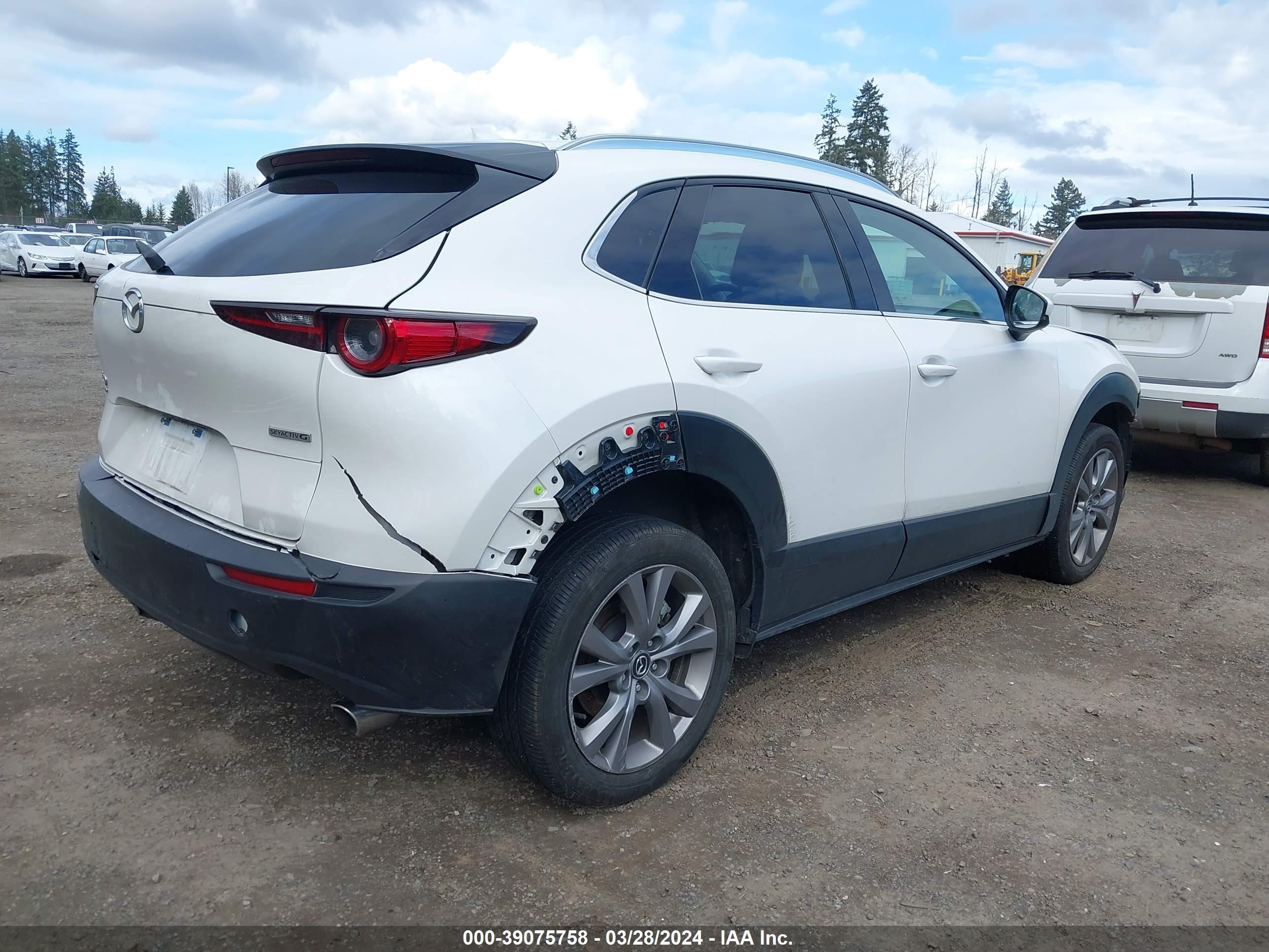 Photo 3 VIN: 3MVDMBDL2MM237452 - MAZDA CX-30 