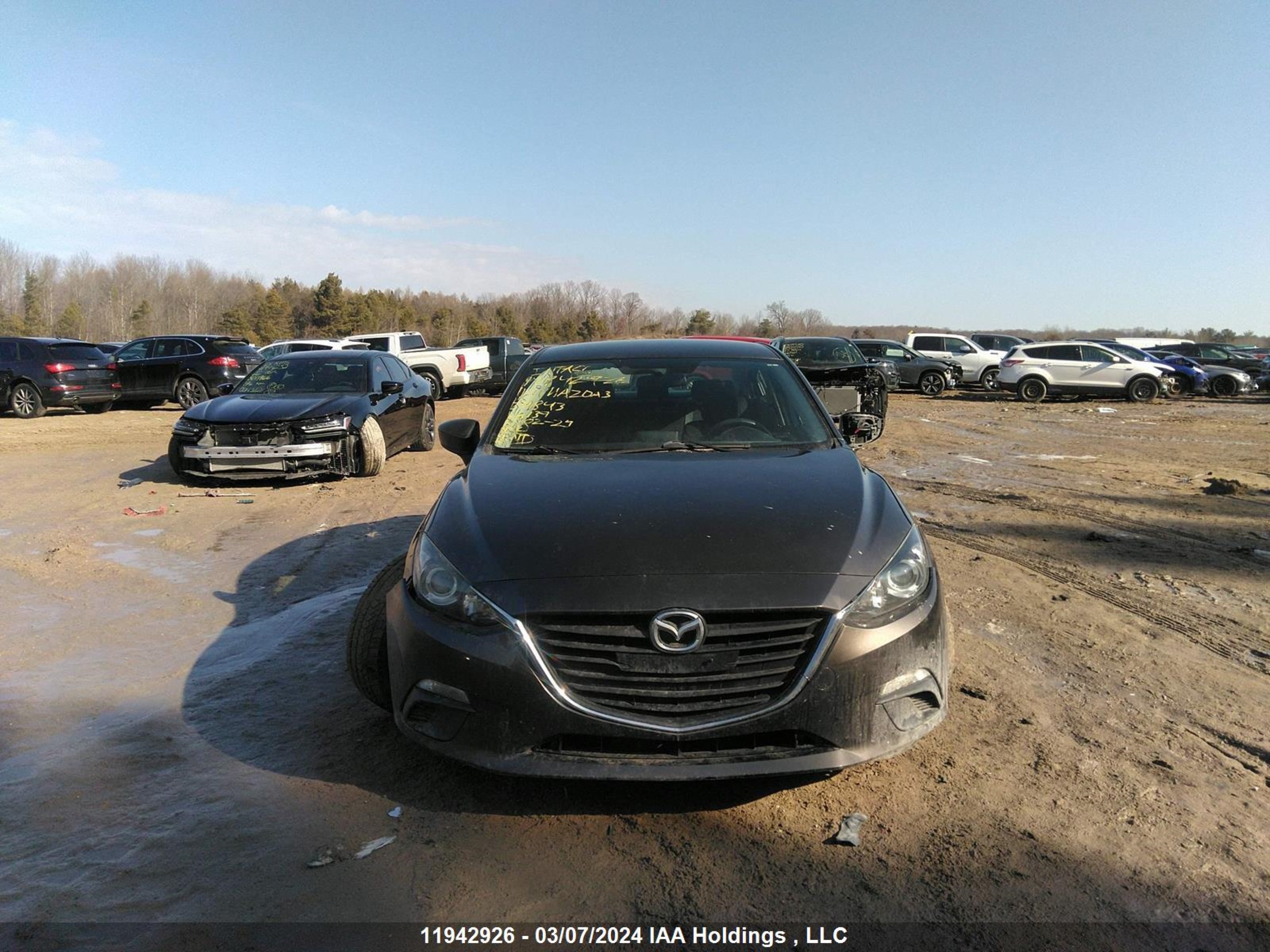 Photo 12 VIN: 3MZBM1U71GM271843 - MAZDA 3 