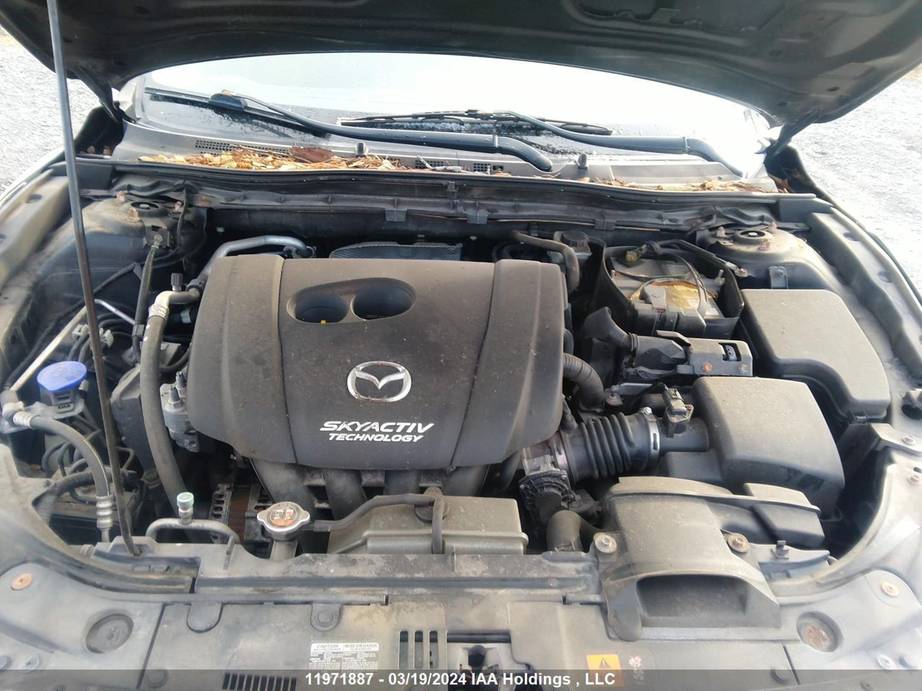 Photo 9 VIN: 3MZBM1U74EM106740 - MAZDA 3 