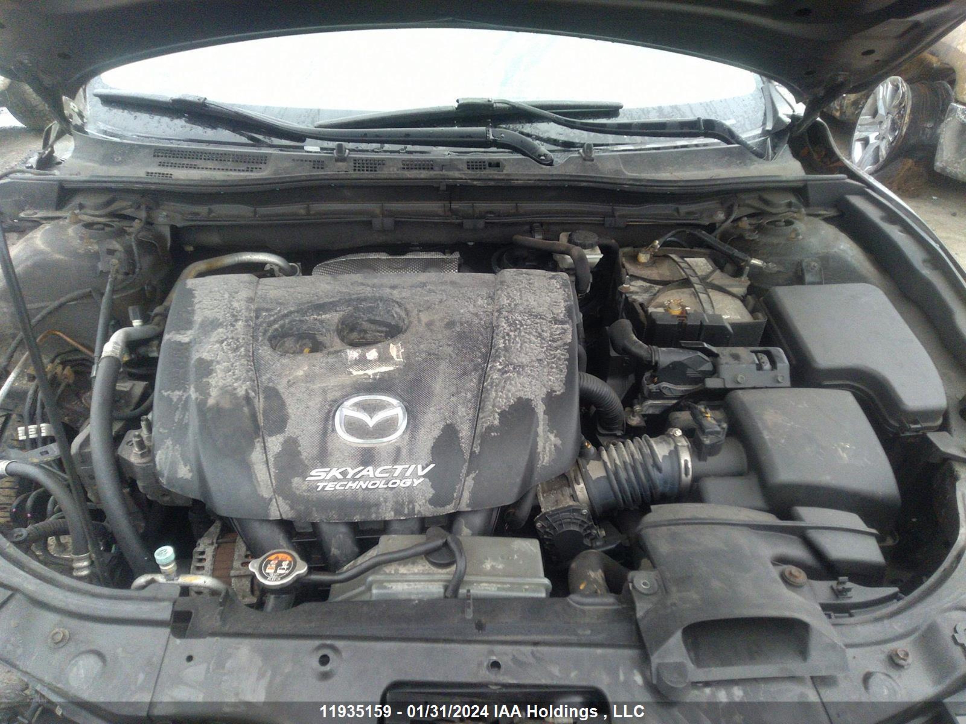 Photo 9 VIN: 3MZBM1V70FM169575 - MAZDA 3 