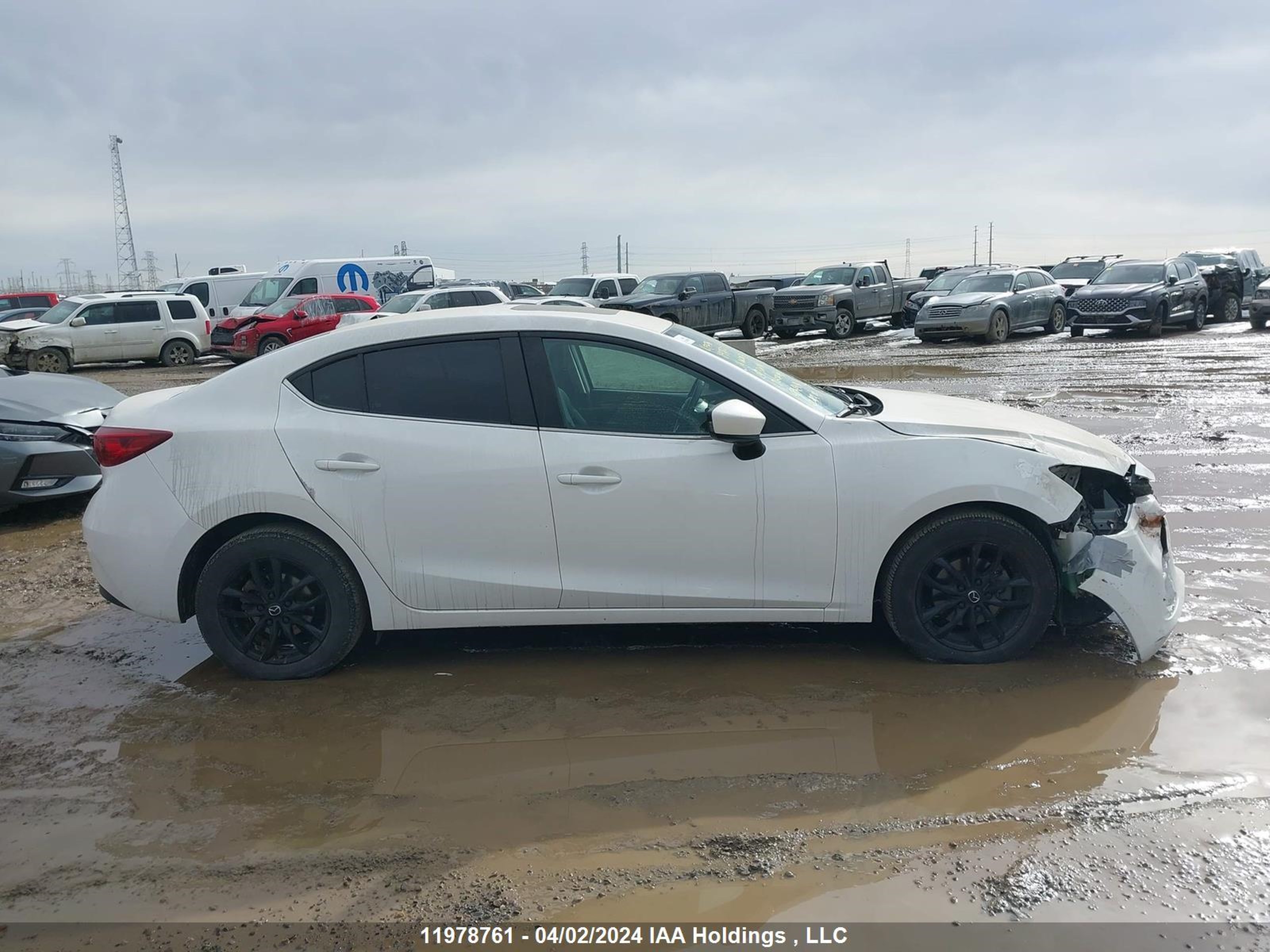 Photo 12 VIN: 3MZBM1V78GM320714 - MAZDA 3 