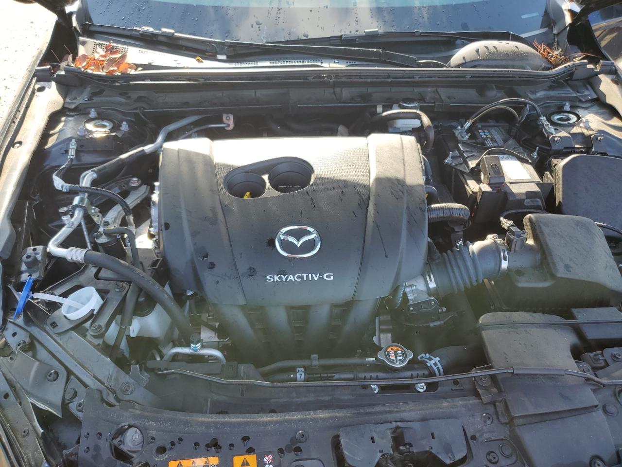 Photo 10 VIN: 3MZBPABL9NM315124 - MAZDA 3 