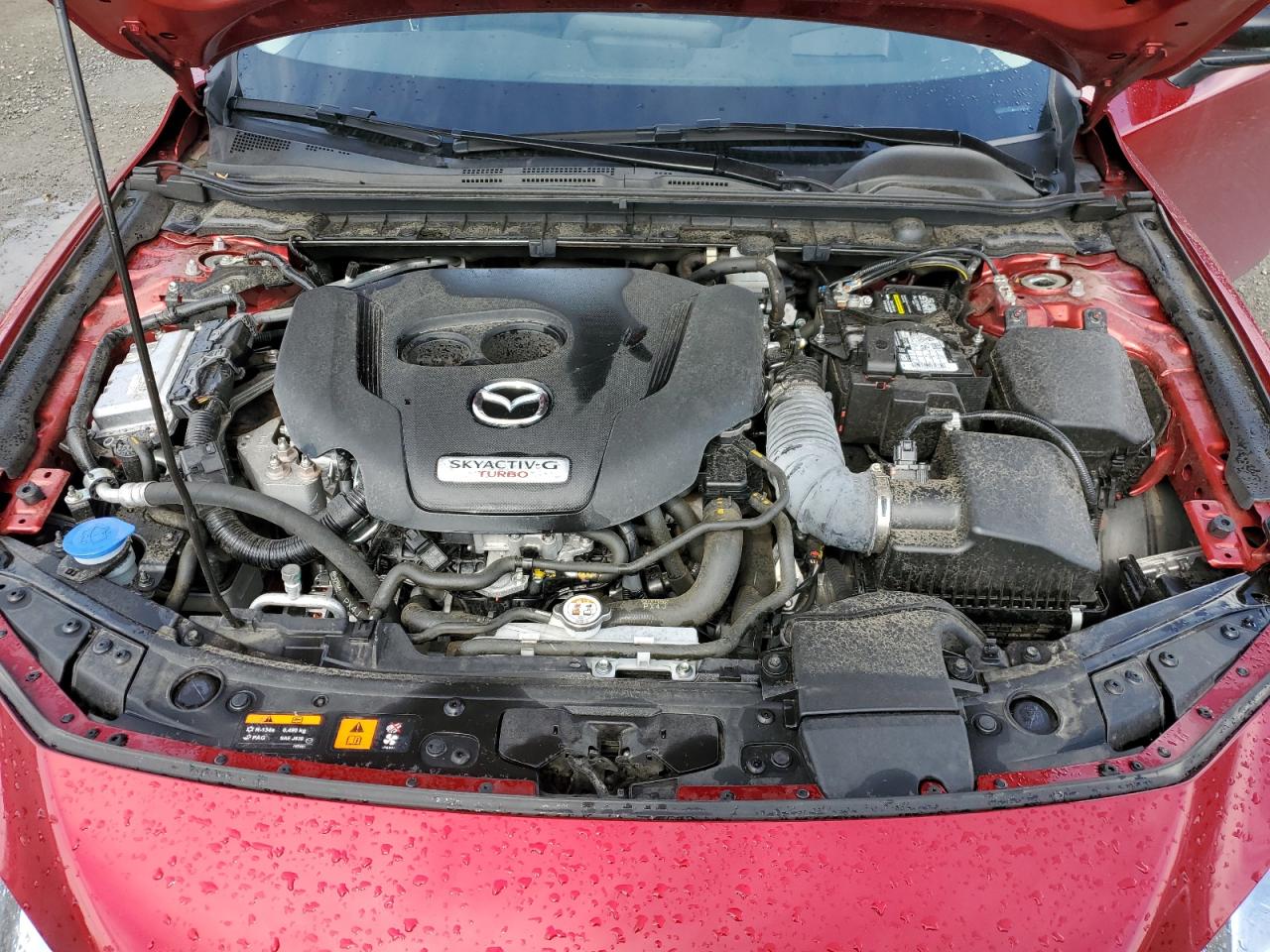 Photo 10 VIN: 3MZBPBAY3MM253219 - MAZDA 3 