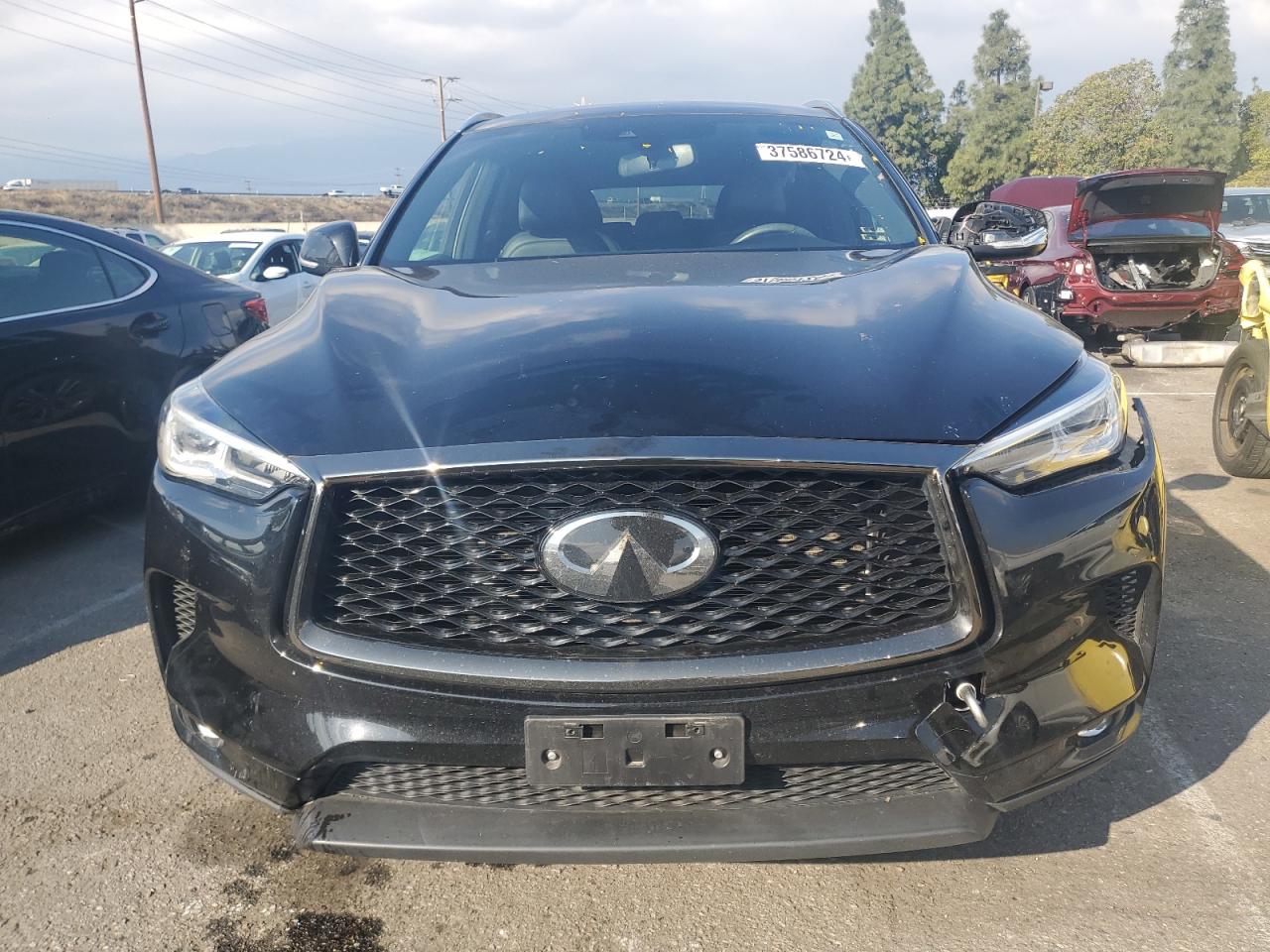 Photo 4 VIN: 3PCAJ5BA8MF105302 - INFINITI QX50 