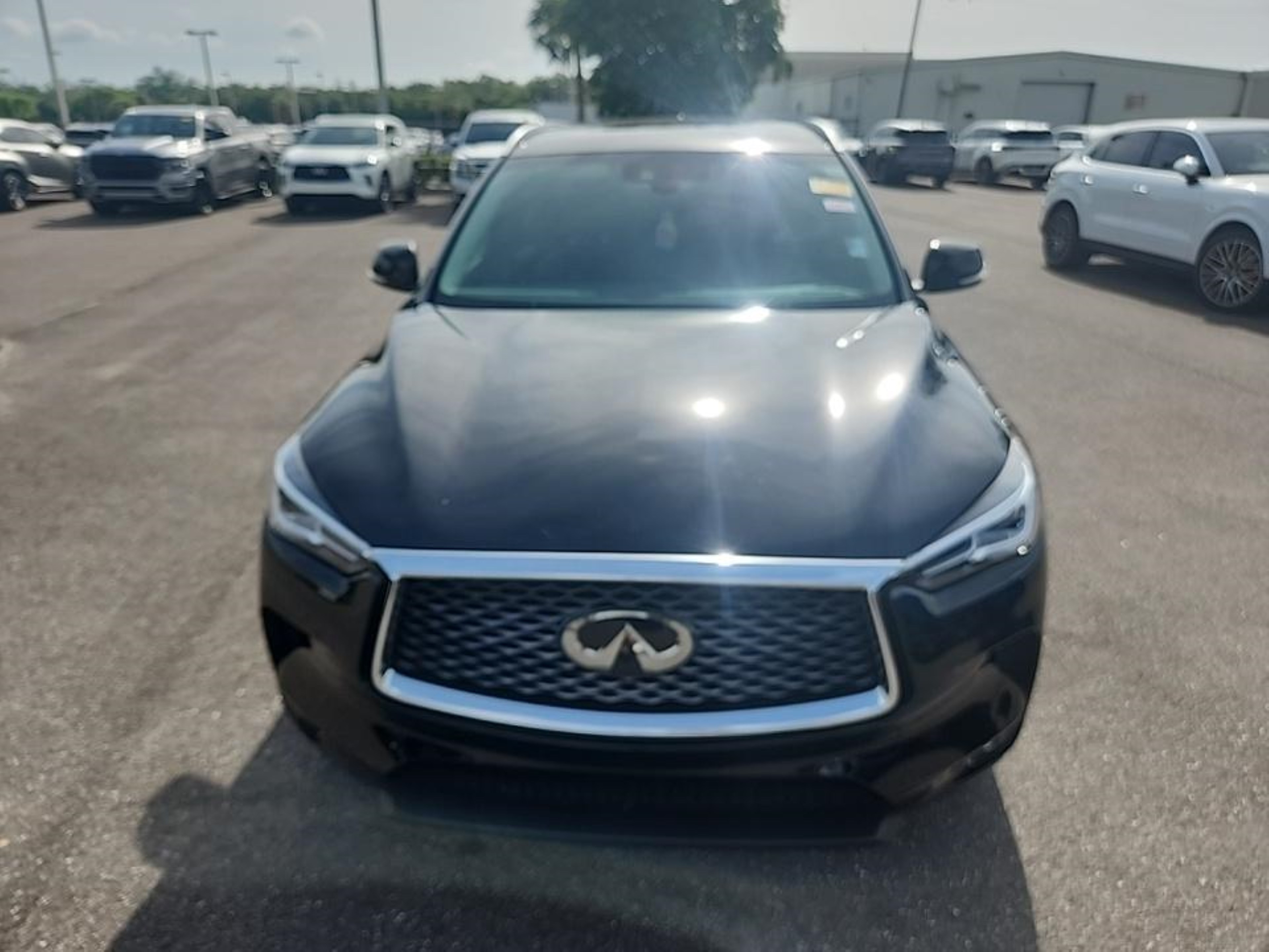 Photo 13 VIN: 3PCAJ5BA9MF104661 - INFINITI QX50 