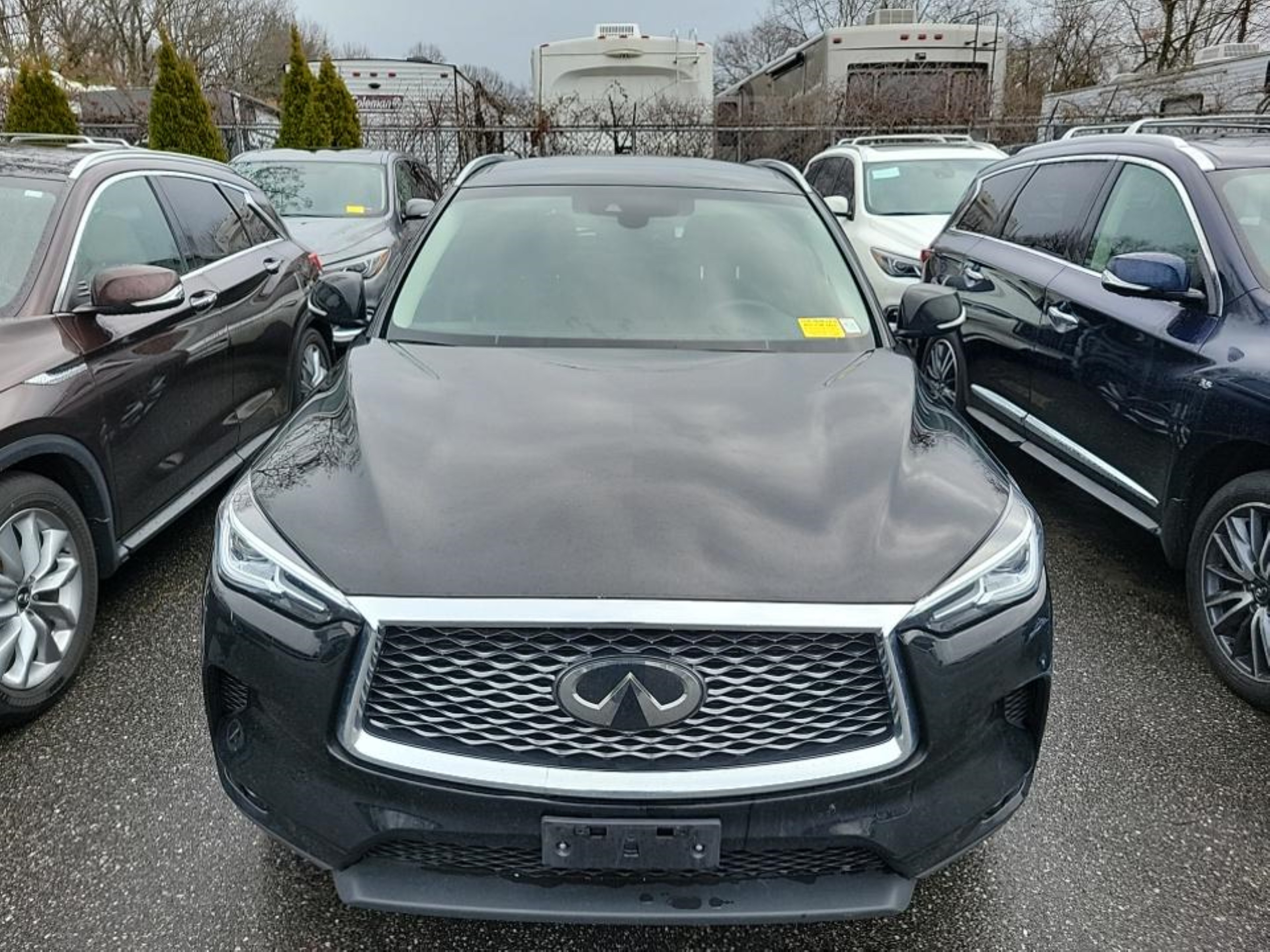 Photo 13 VIN: 3PCAJ5BB2MF103974 - INFINITI QX50 