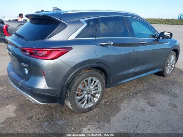 Photo 3 VIN: 3PCAJ5BB2PF114705 - INFINITI QX50 