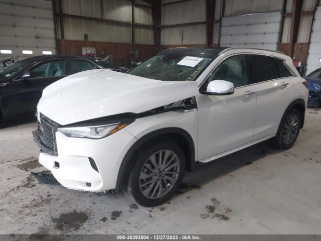 Photo 1 VIN: 3PCAJ5BB4PF112714 - INFINITI QX50 