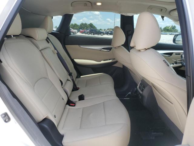 Photo 10 VIN: 3PCAJ5CA5MF119432 - INFINITI QX50 ESSEN 