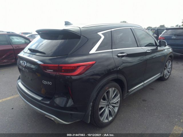 Photo 3 VIN: 3PCAJ5CB3MF117218 - INFINITI QX50 