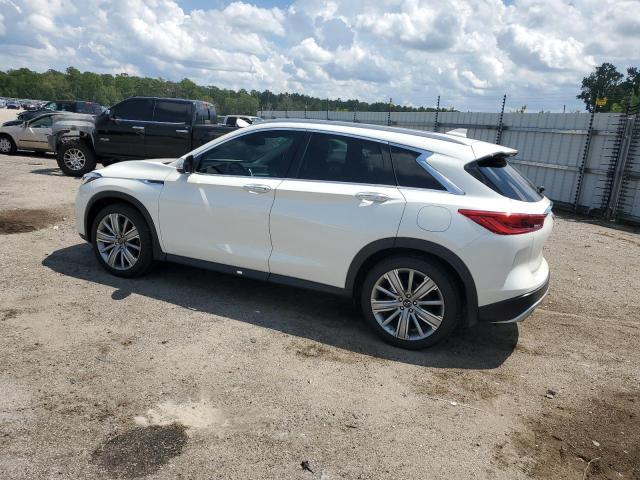 Photo 1 VIN: 3PCAJ5EA6NF105554 - INFINITI QX50 SENSO 