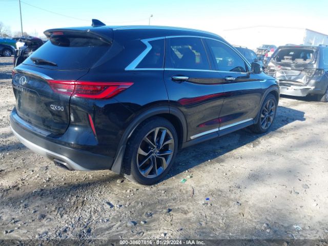 Photo 3 VIN: 3PCAJ5M13KF126388 - INFINITI QX50 