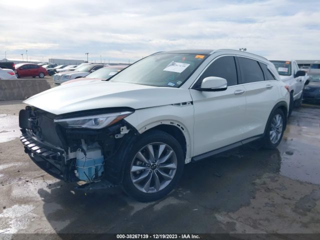 Photo 1 VIN: 3PCAJ5M15LF103244 - INFINITI QX50 