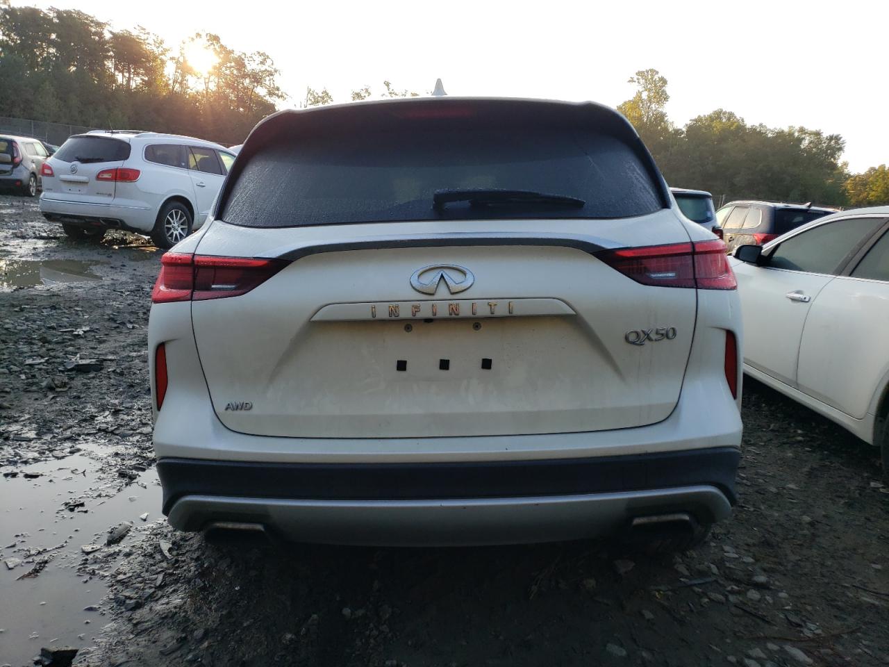 Photo 5 VIN: 3PCAJ5M31KF143160 - INFINITI QX50 