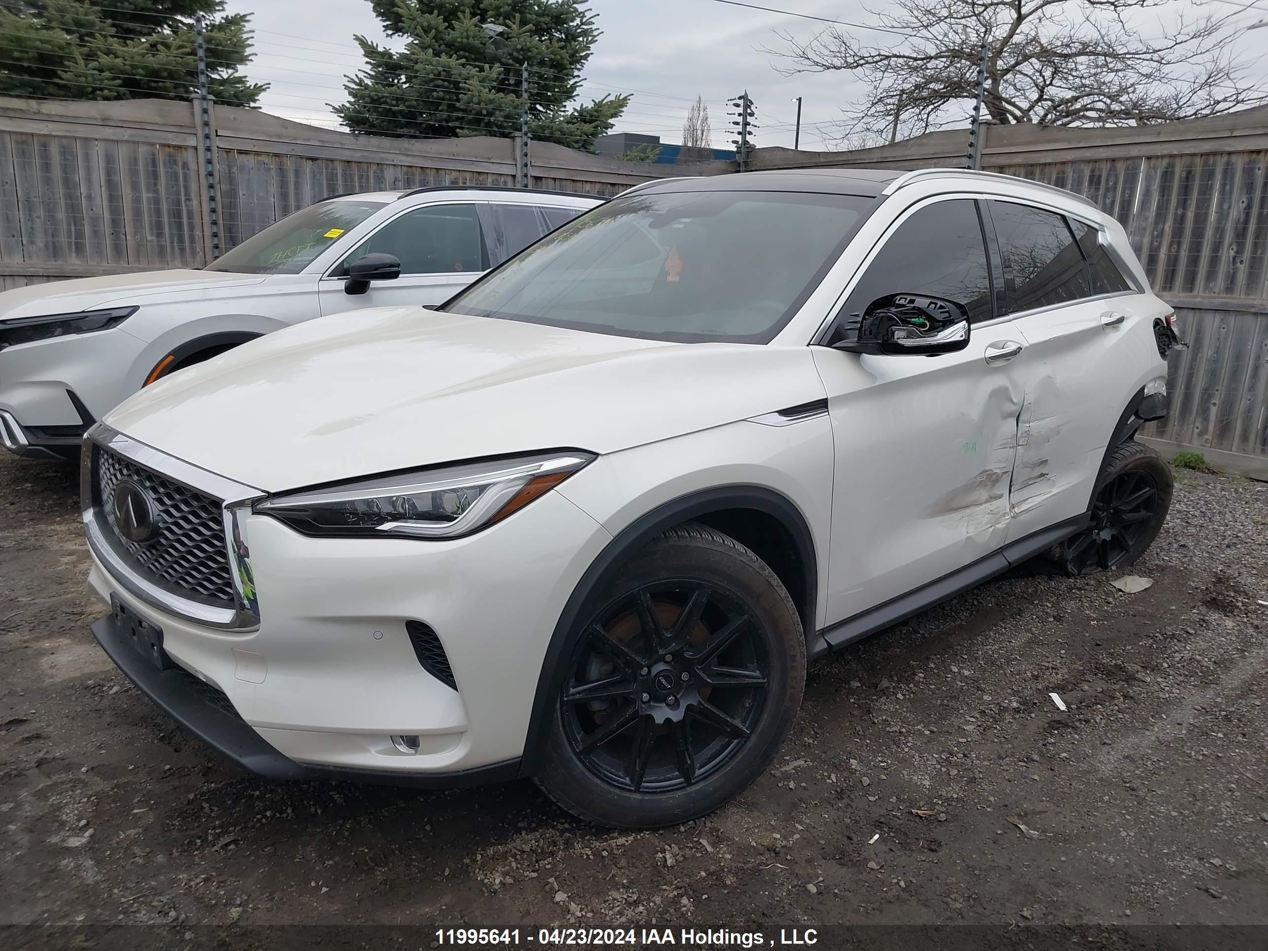 Photo 1 VIN: 3PCAJ5M31LF107020 - INFINITI QX50 