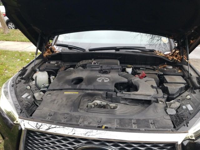 Photo 9 VIN: 3PCAJ5M33KF107633 - INFINITI QX50 