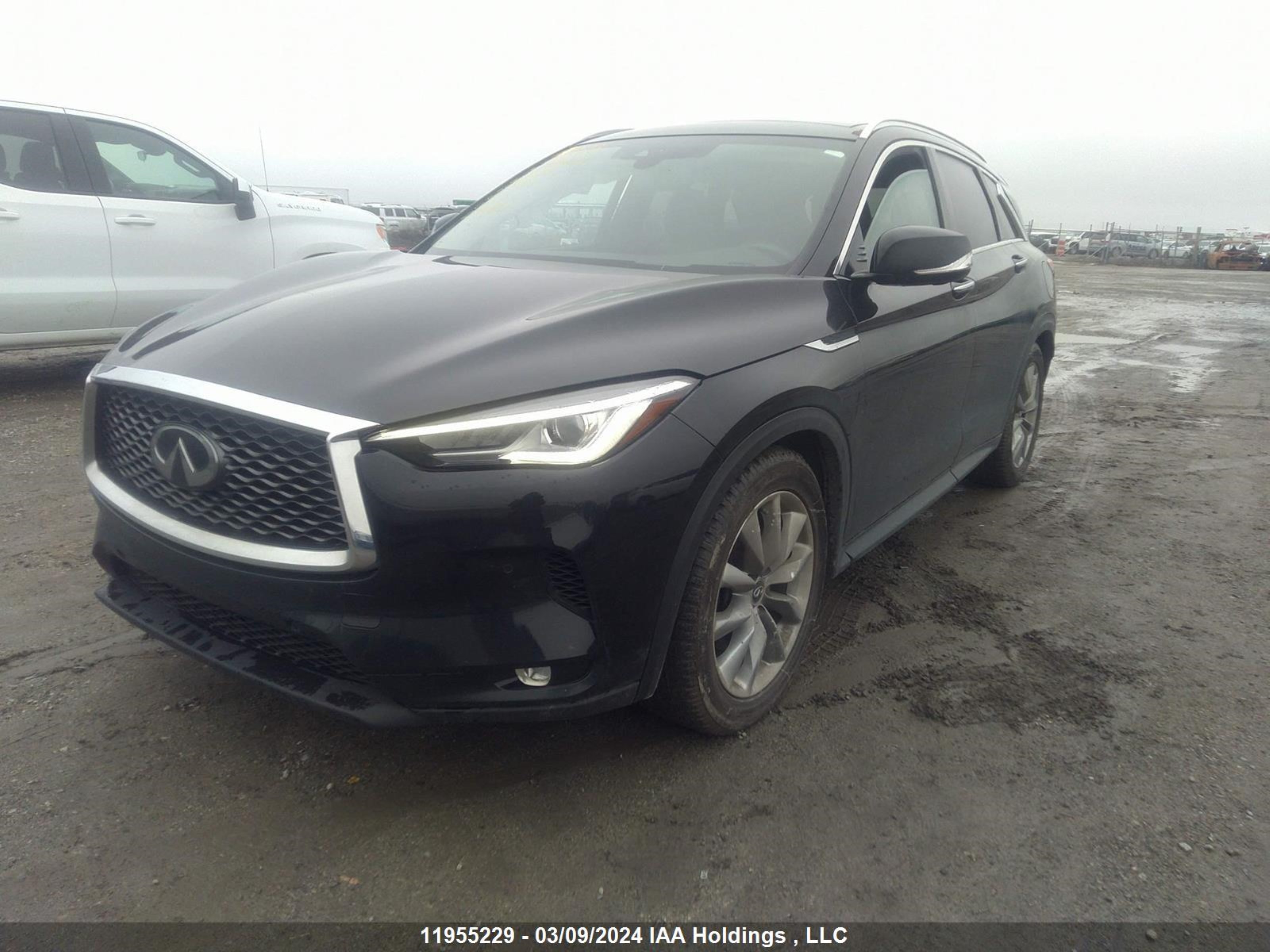 Photo 1 VIN: 3PCAJ5M34KF129026 - INFINITI QX50 