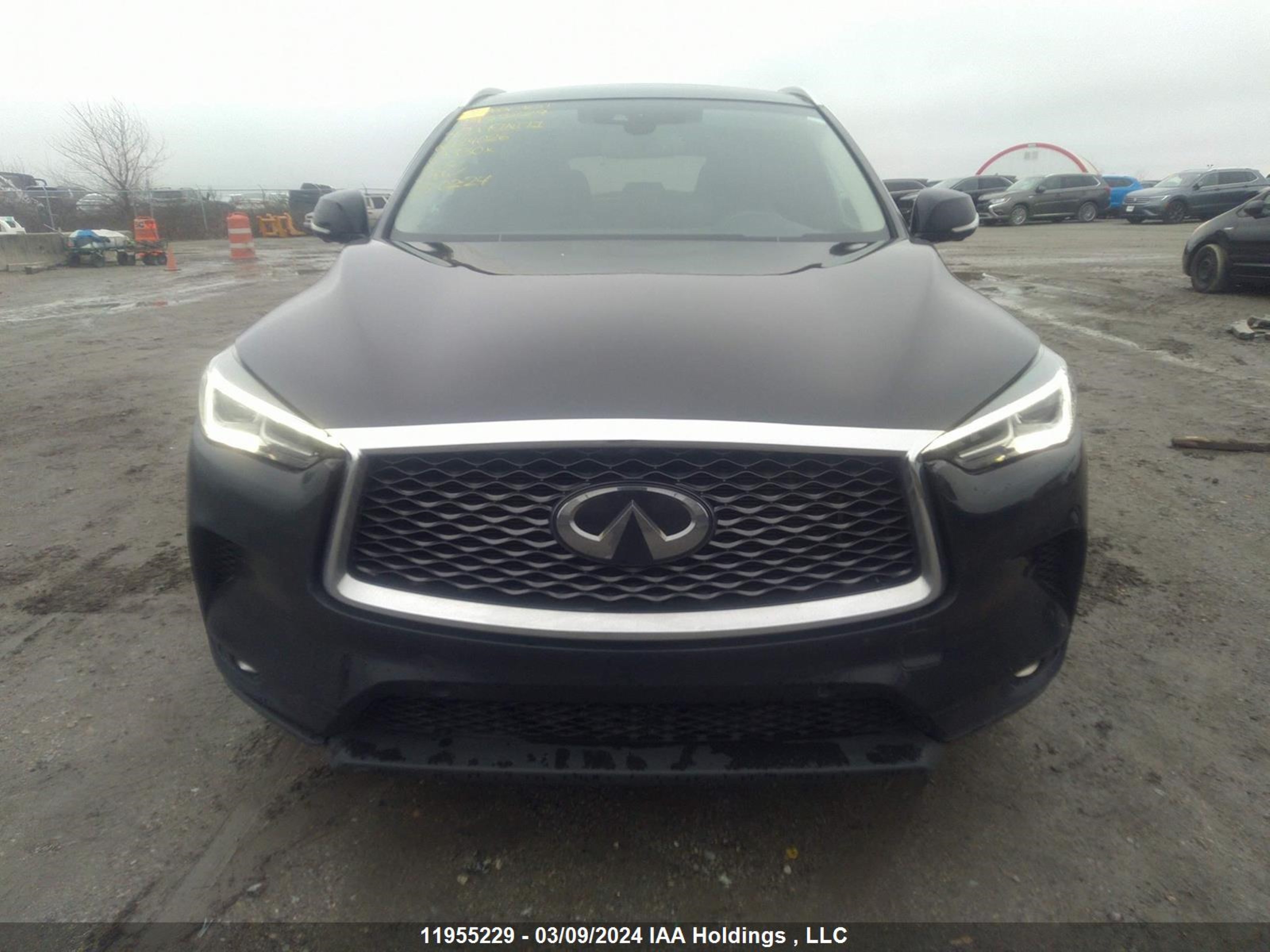 Photo 11 VIN: 3PCAJ5M34KF129026 - INFINITI QX50 