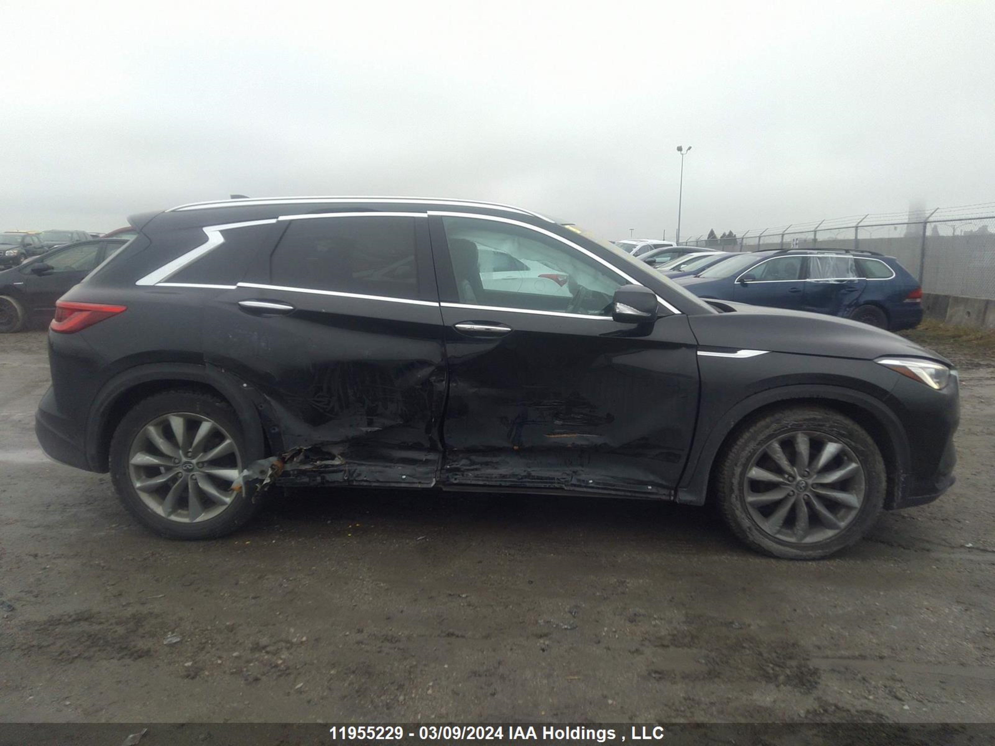 Photo 12 VIN: 3PCAJ5M34KF129026 - INFINITI QX50 