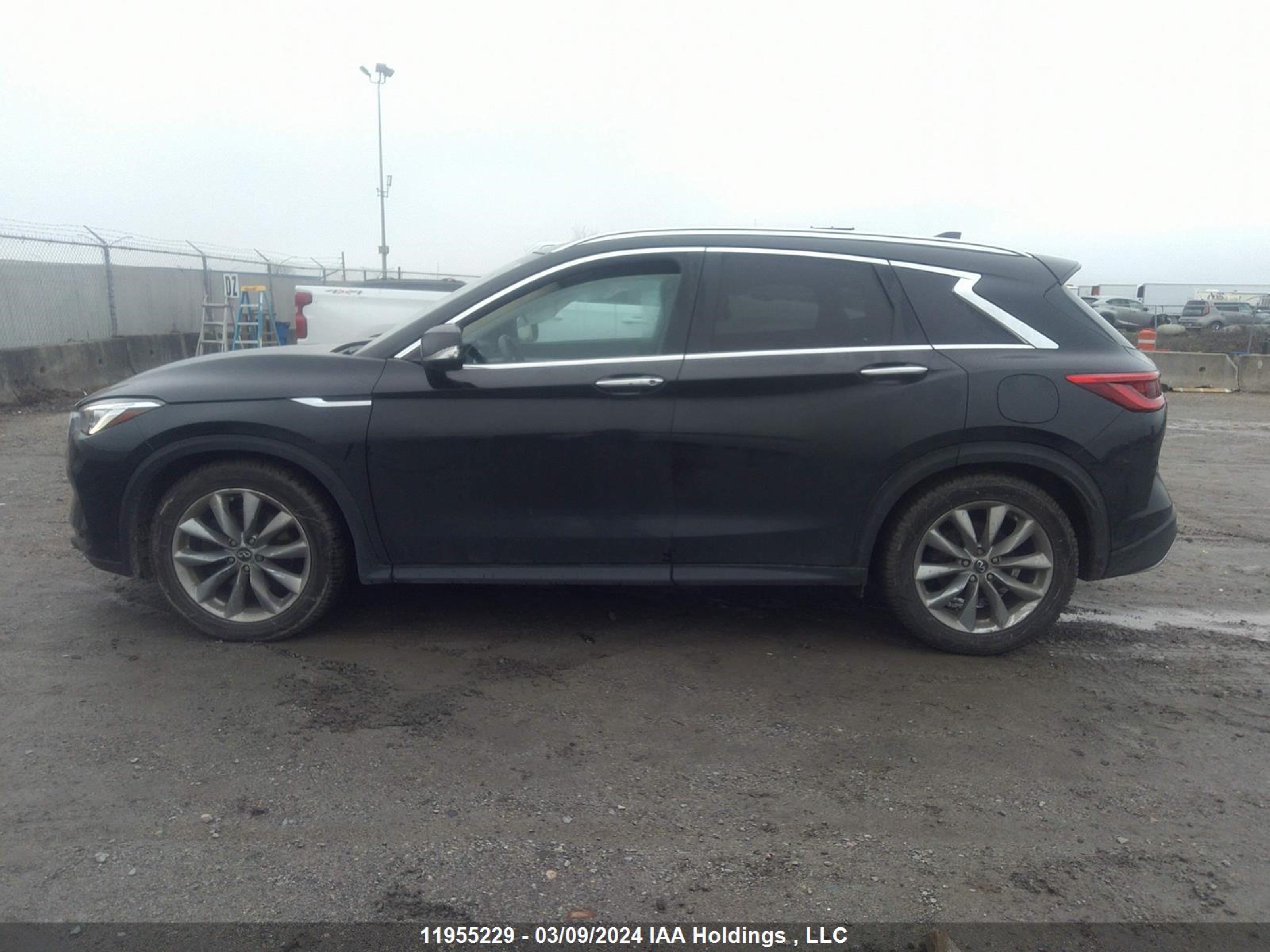 Photo 13 VIN: 3PCAJ5M34KF129026 - INFINITI QX50 