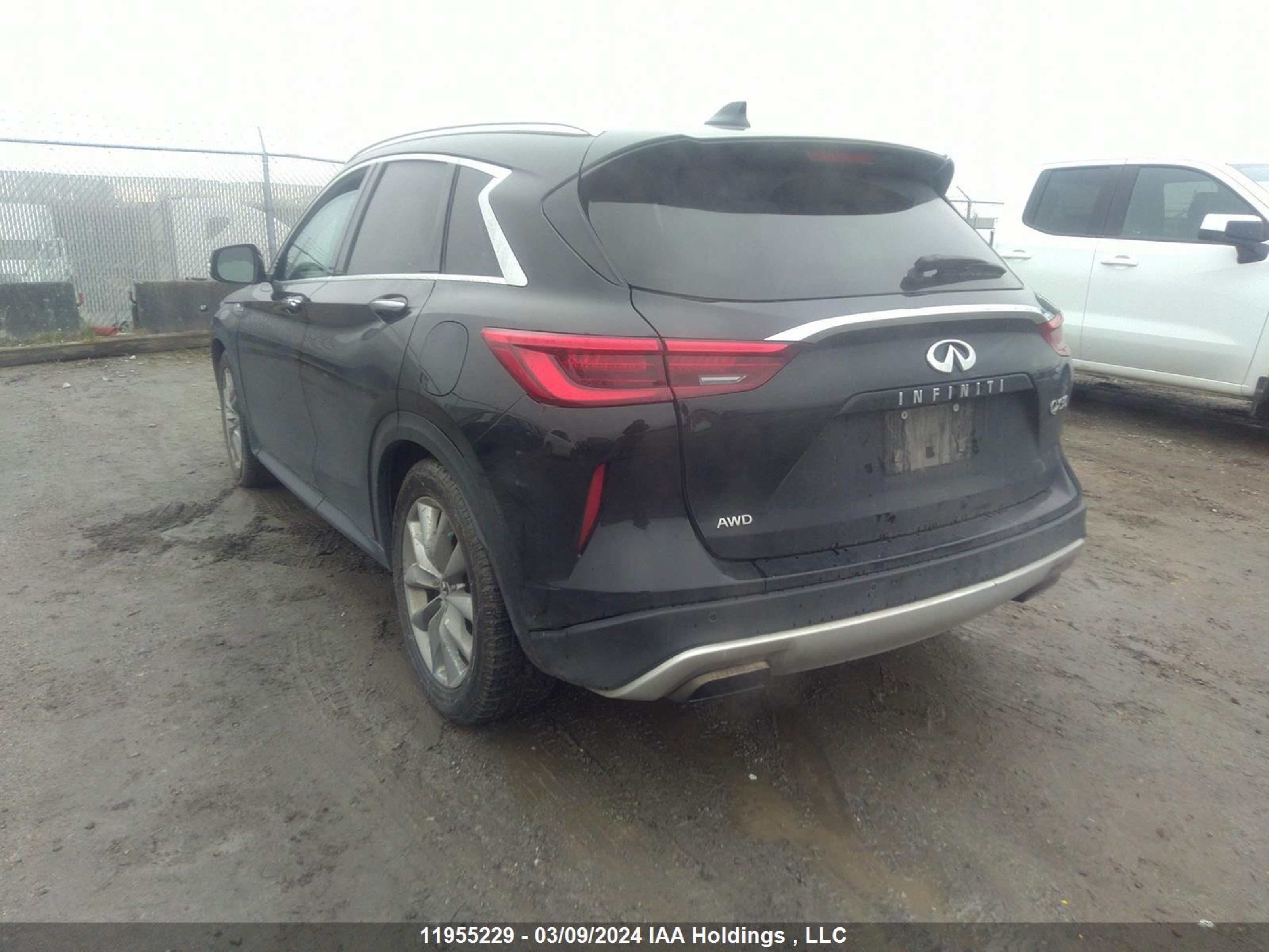 Photo 2 VIN: 3PCAJ5M34KF129026 - INFINITI QX50 