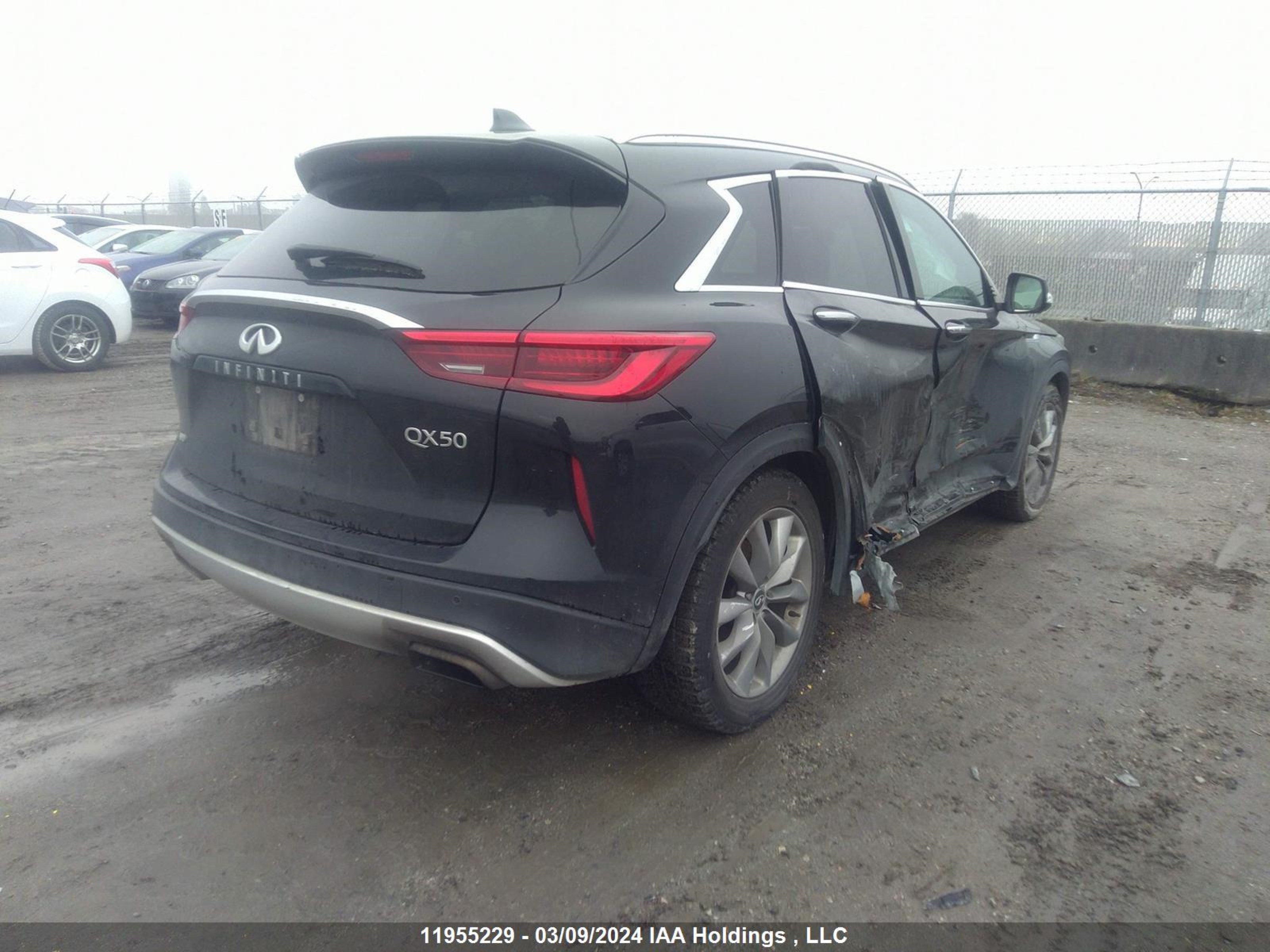 Photo 3 VIN: 3PCAJ5M34KF129026 - INFINITI QX50 