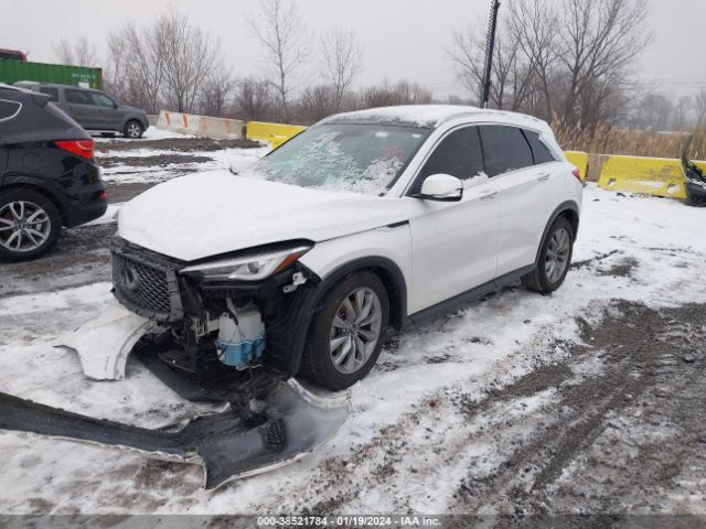 Photo 1 VIN: 3PCAJ5M34LF102796 - INFINITI QX50 